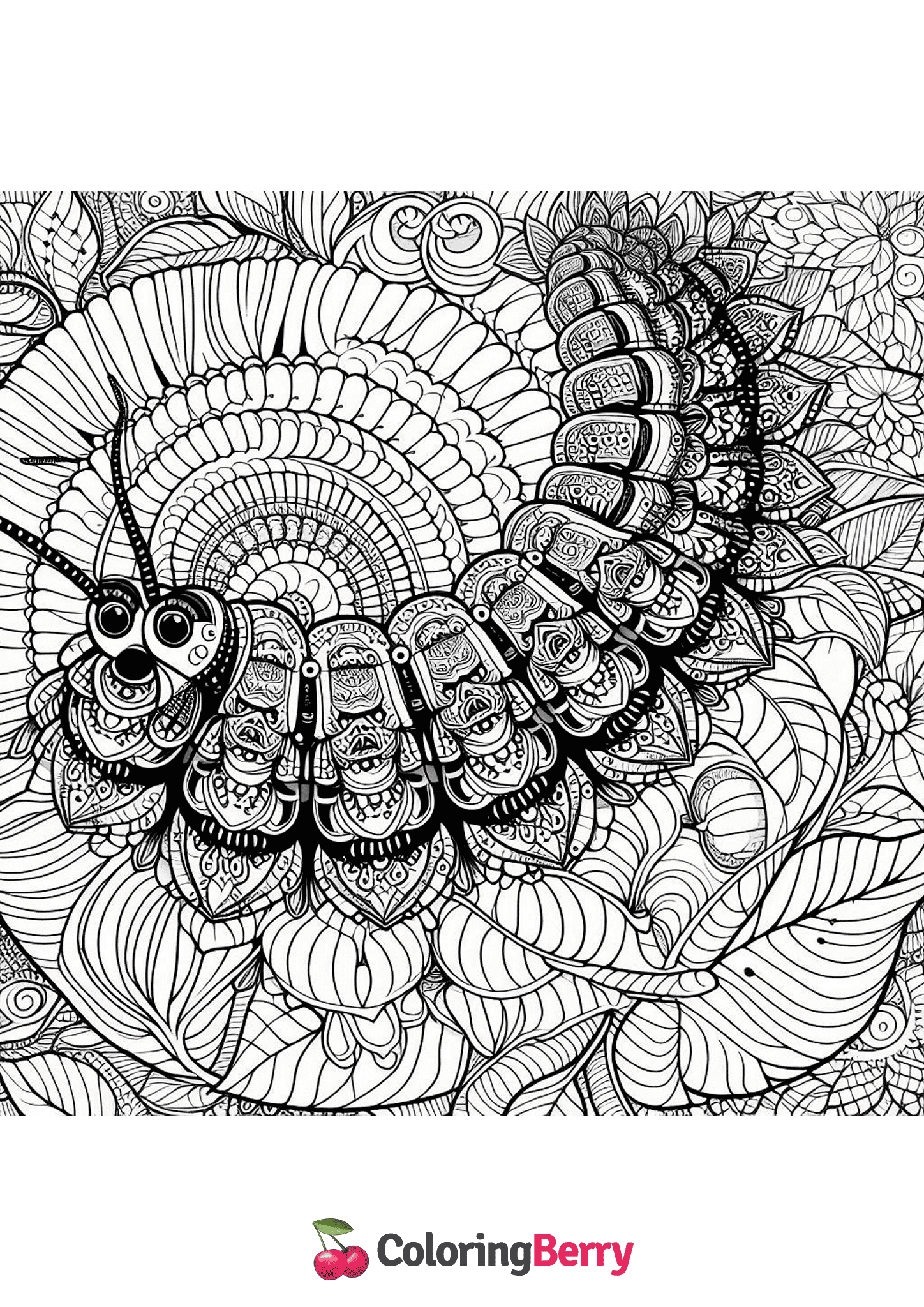 Mandala Caterpillar