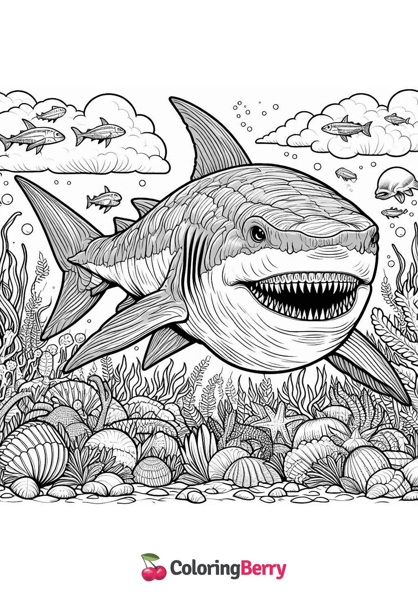 Megalodon Shark
