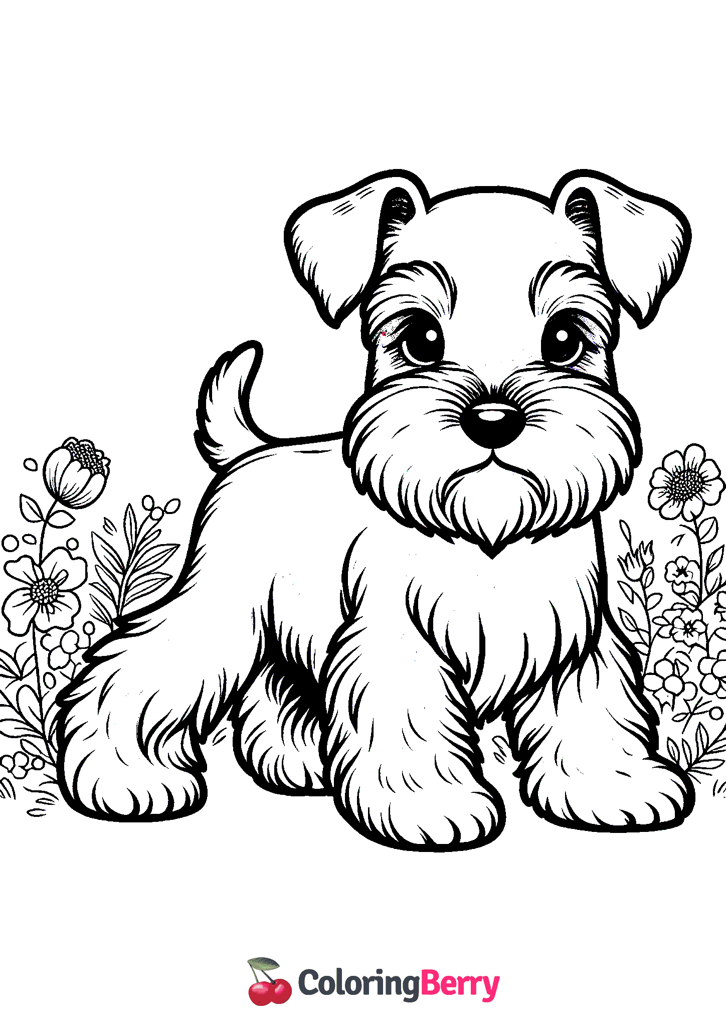 Miniature Schnauzer