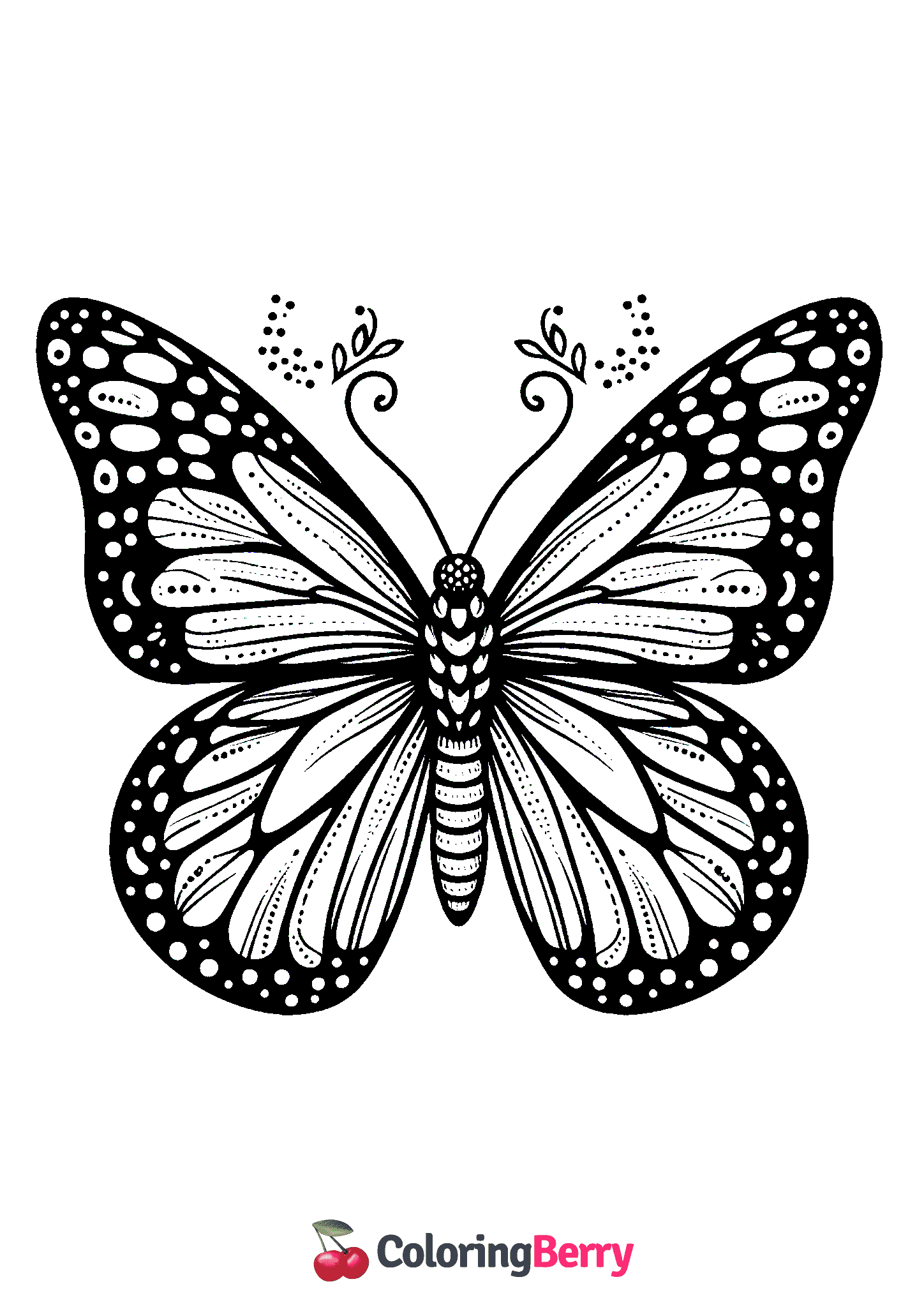 Monarch Butterfly