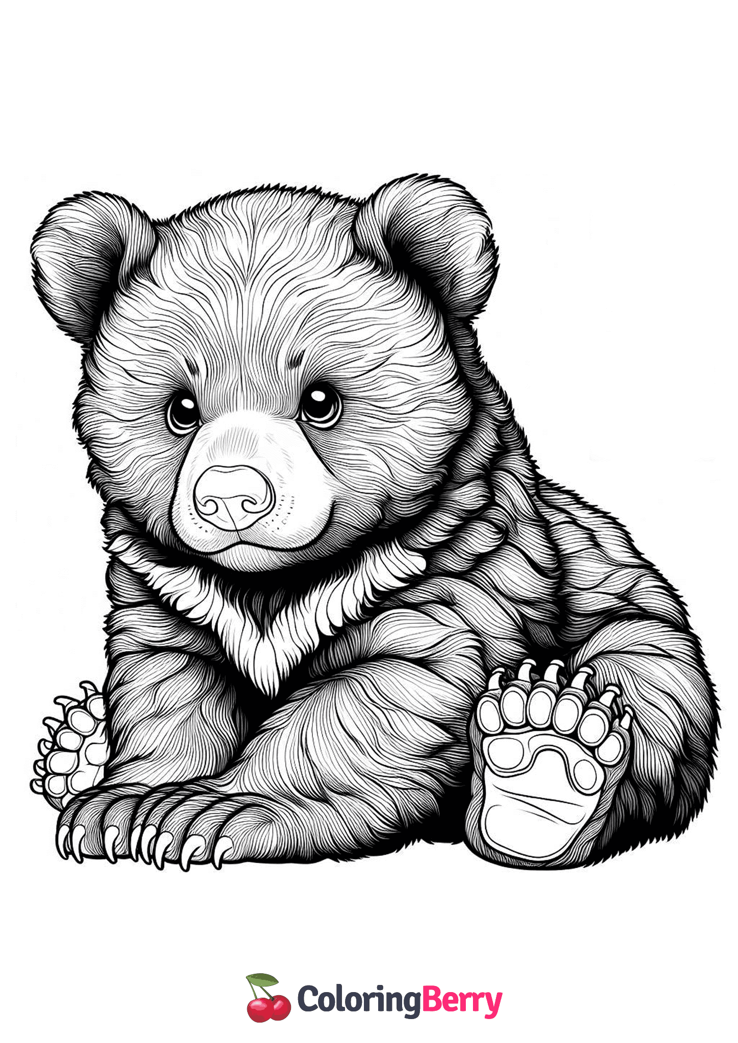 Moon Bear