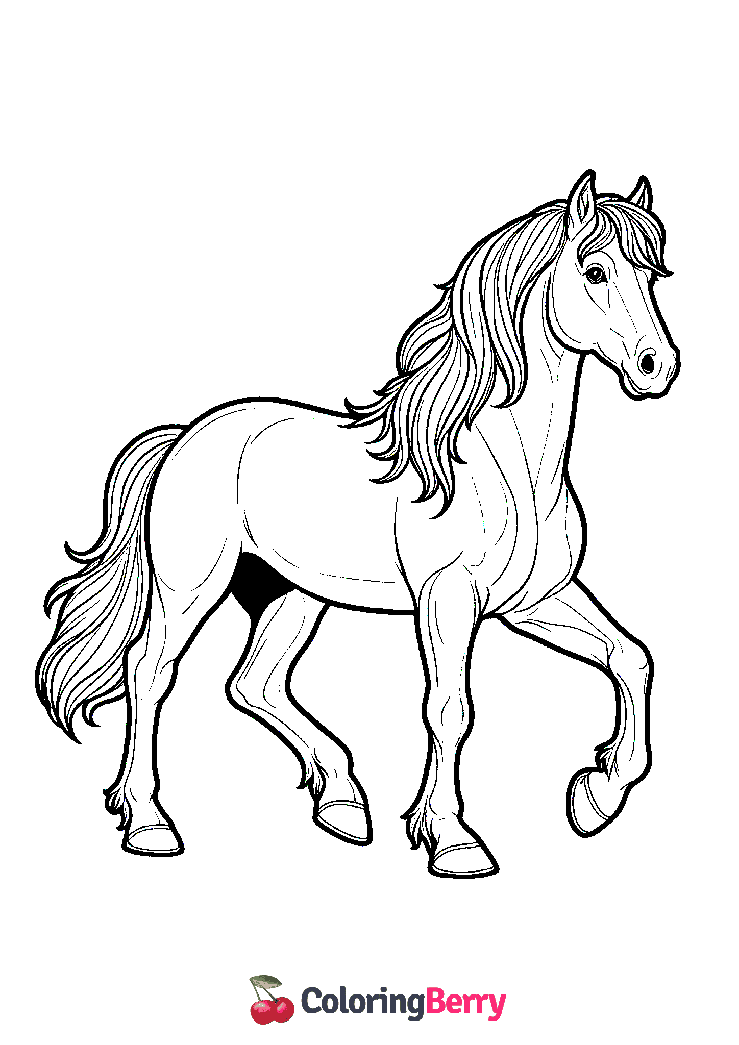 Mustang Horse
