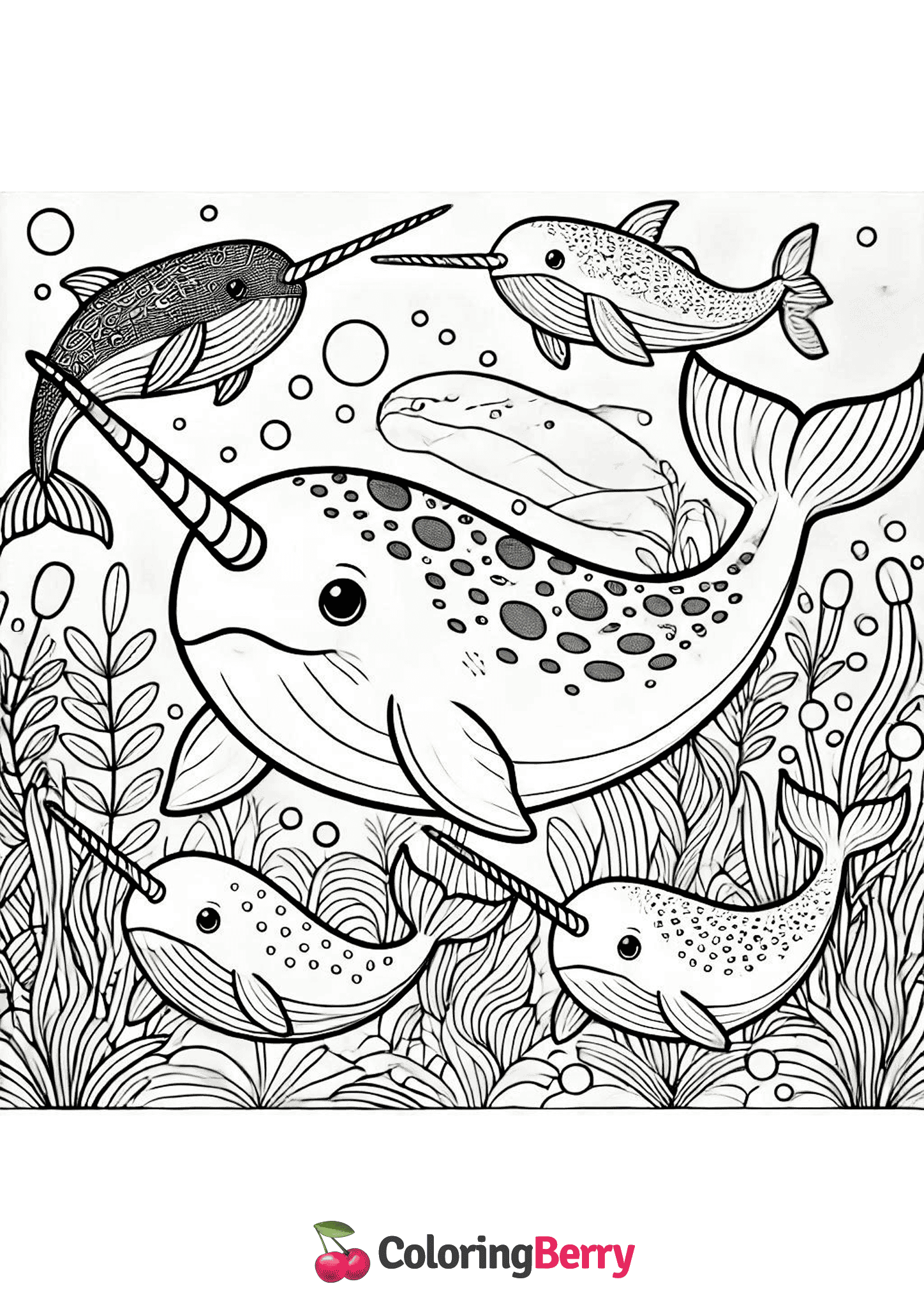 Narwhals