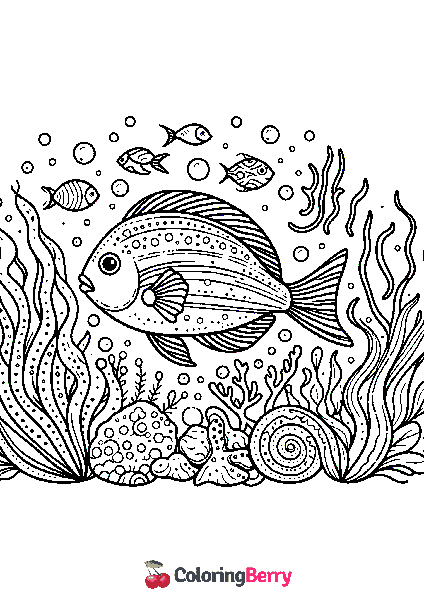 Ocean Fish