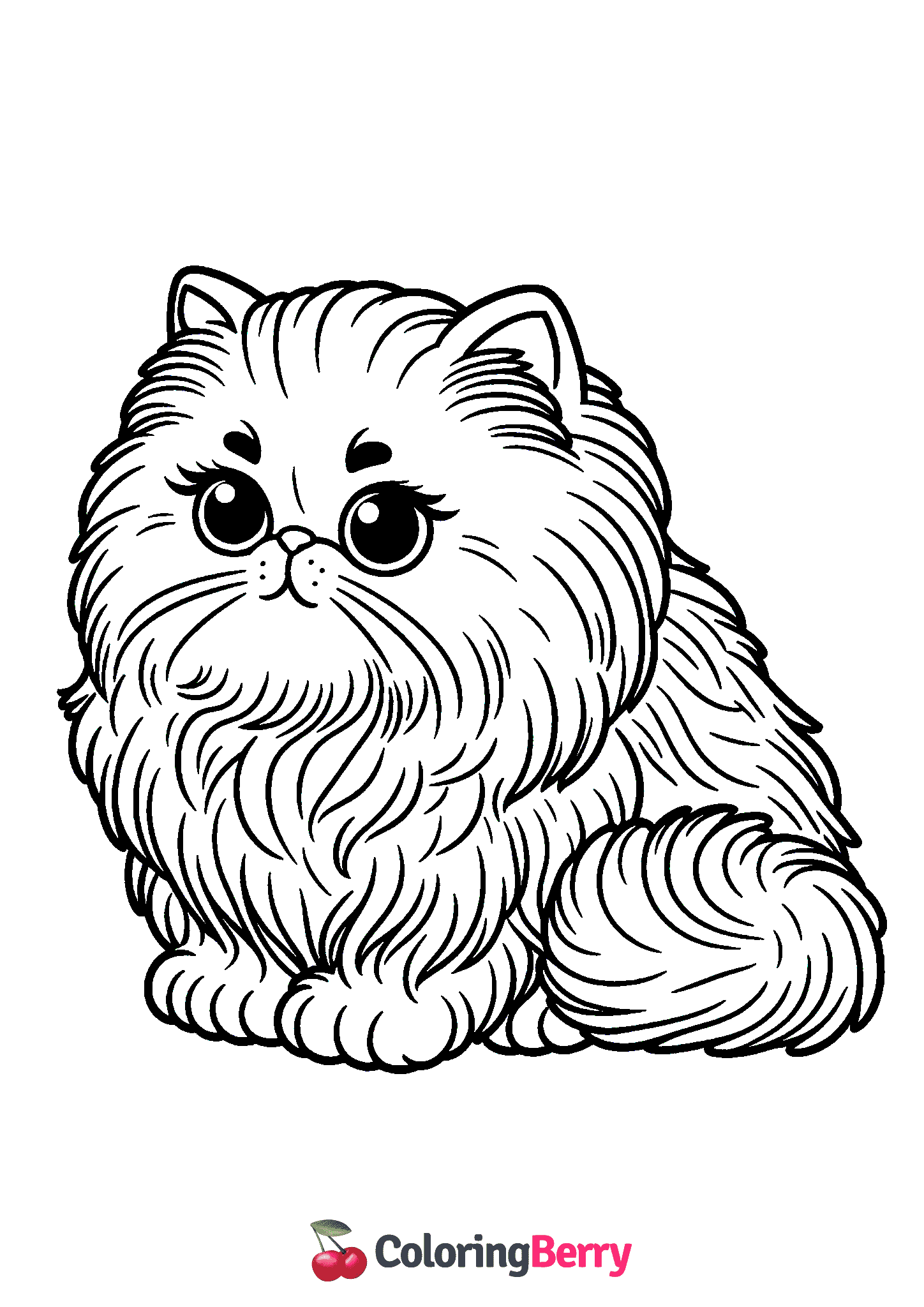 Persian Cat