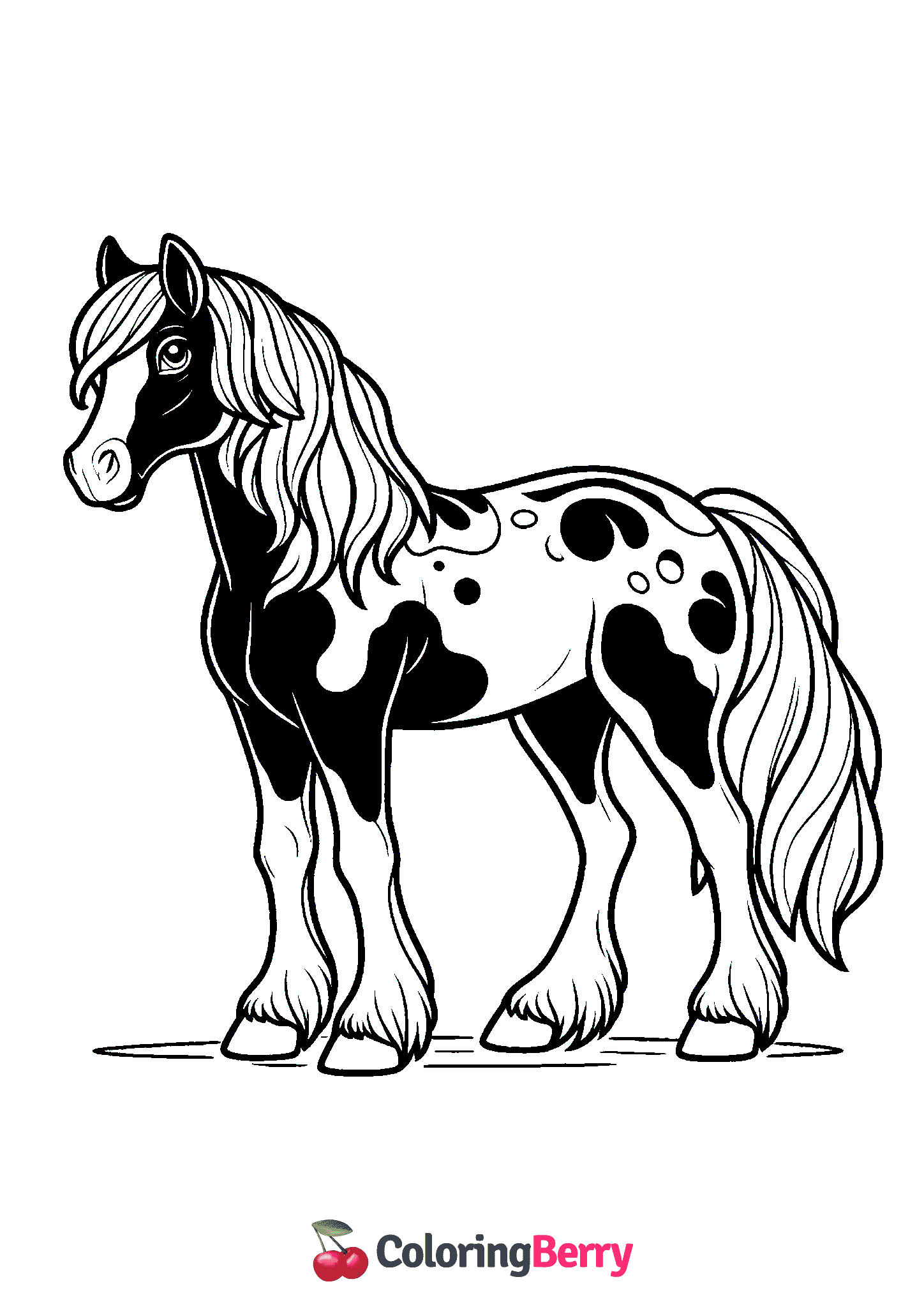 Pinto Horse
