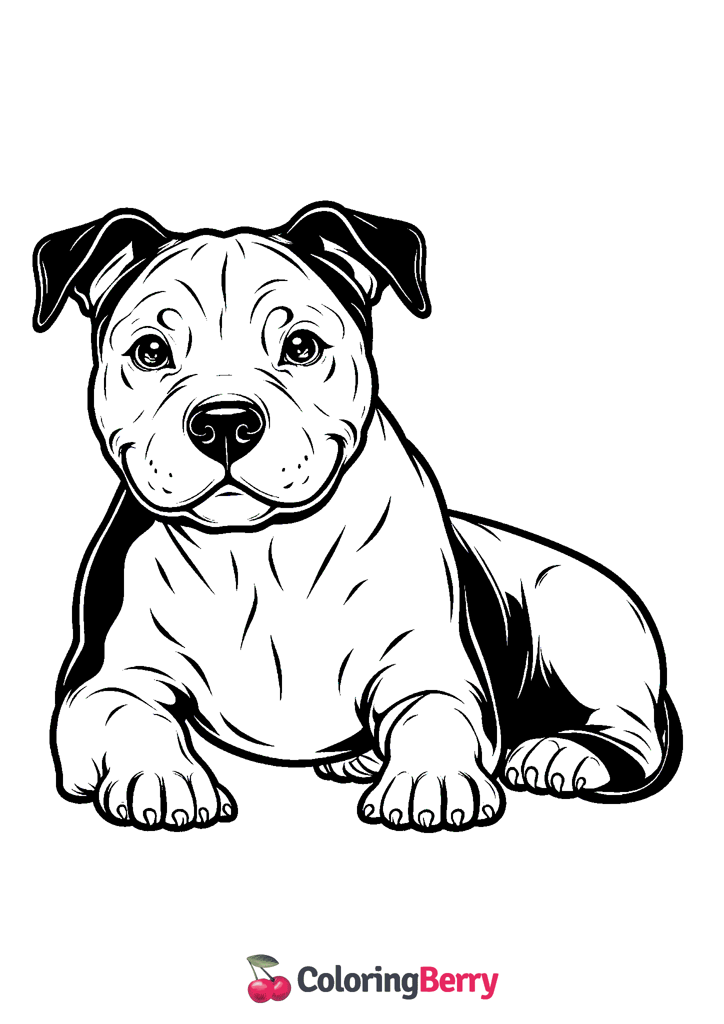 Pit Bull