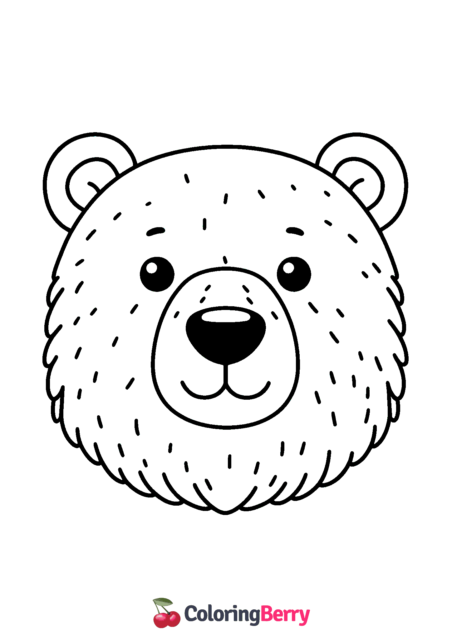 Polar Bear Face