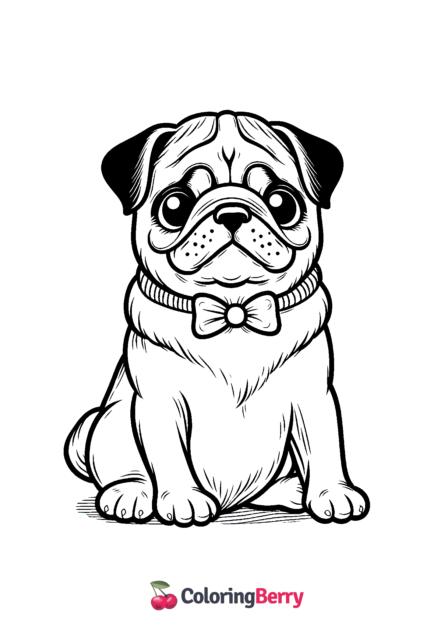 Pug Dog