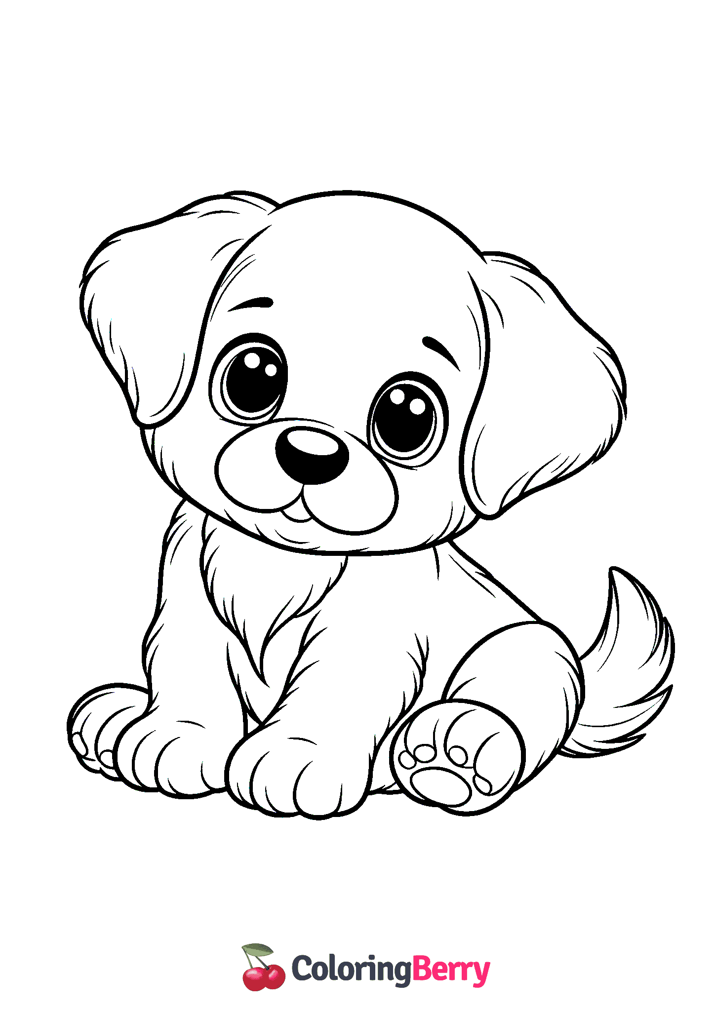 Puppy