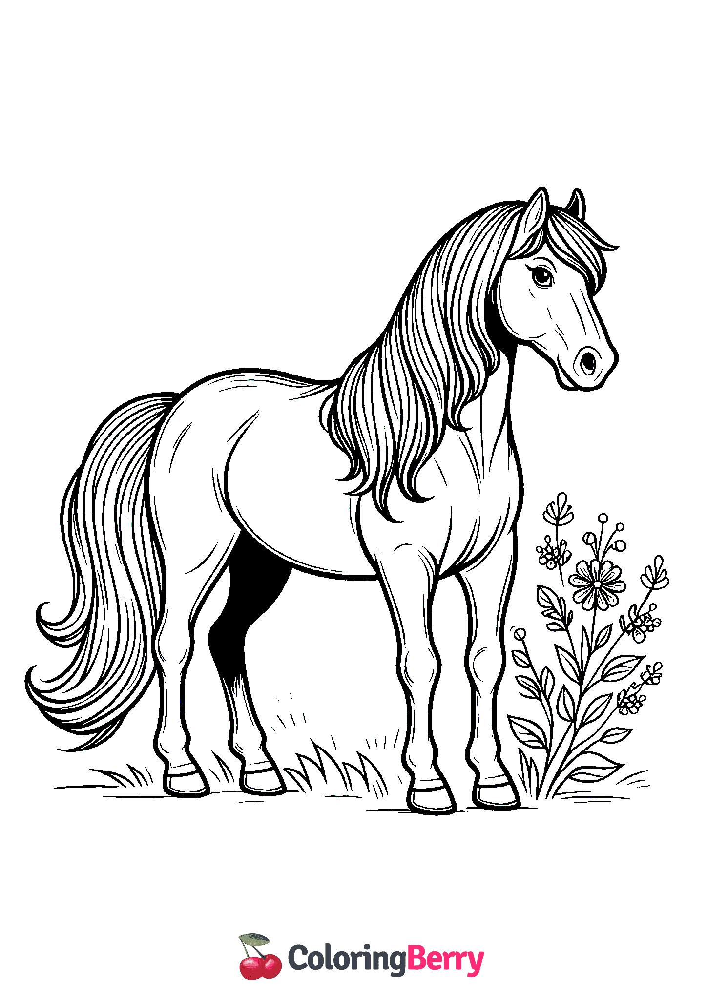 Quarter Horse