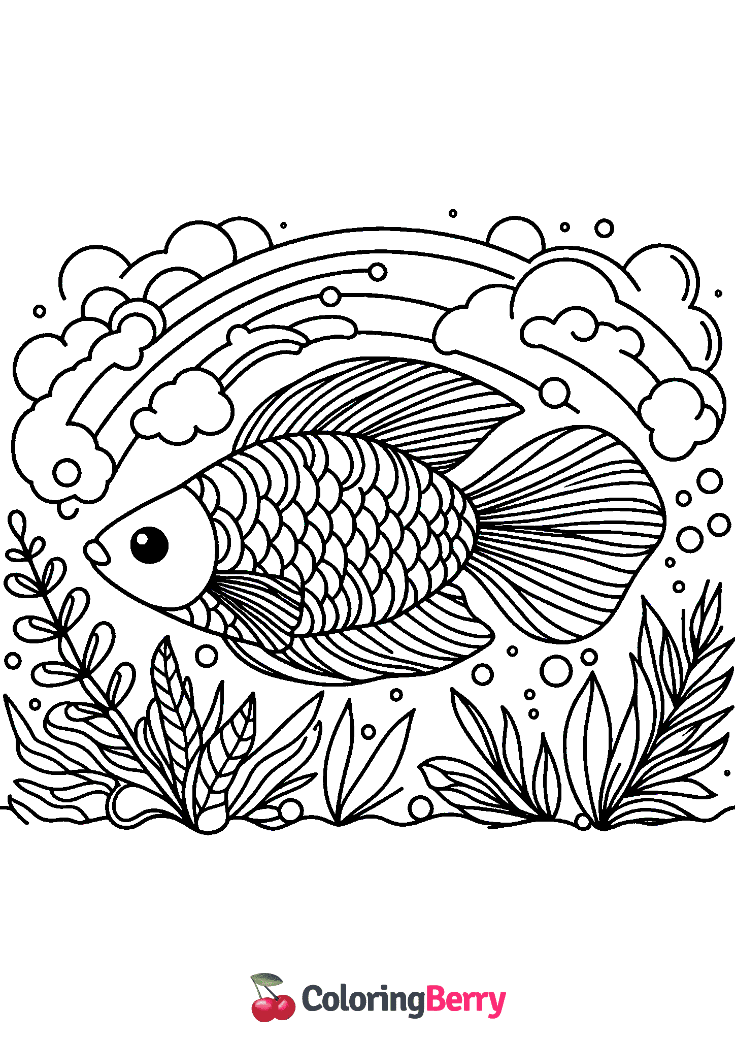 Rainbow Fish