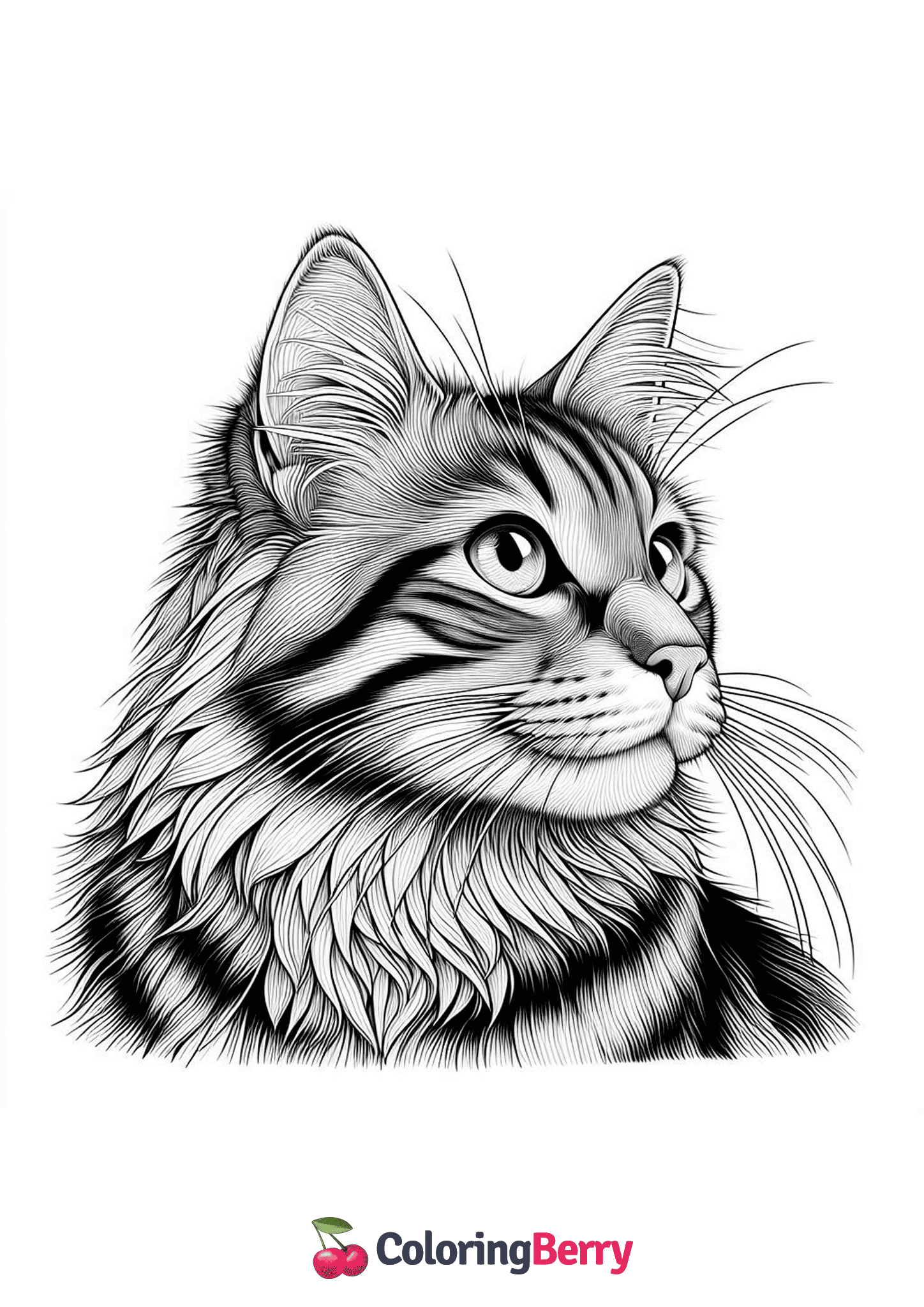 Realistic Cat