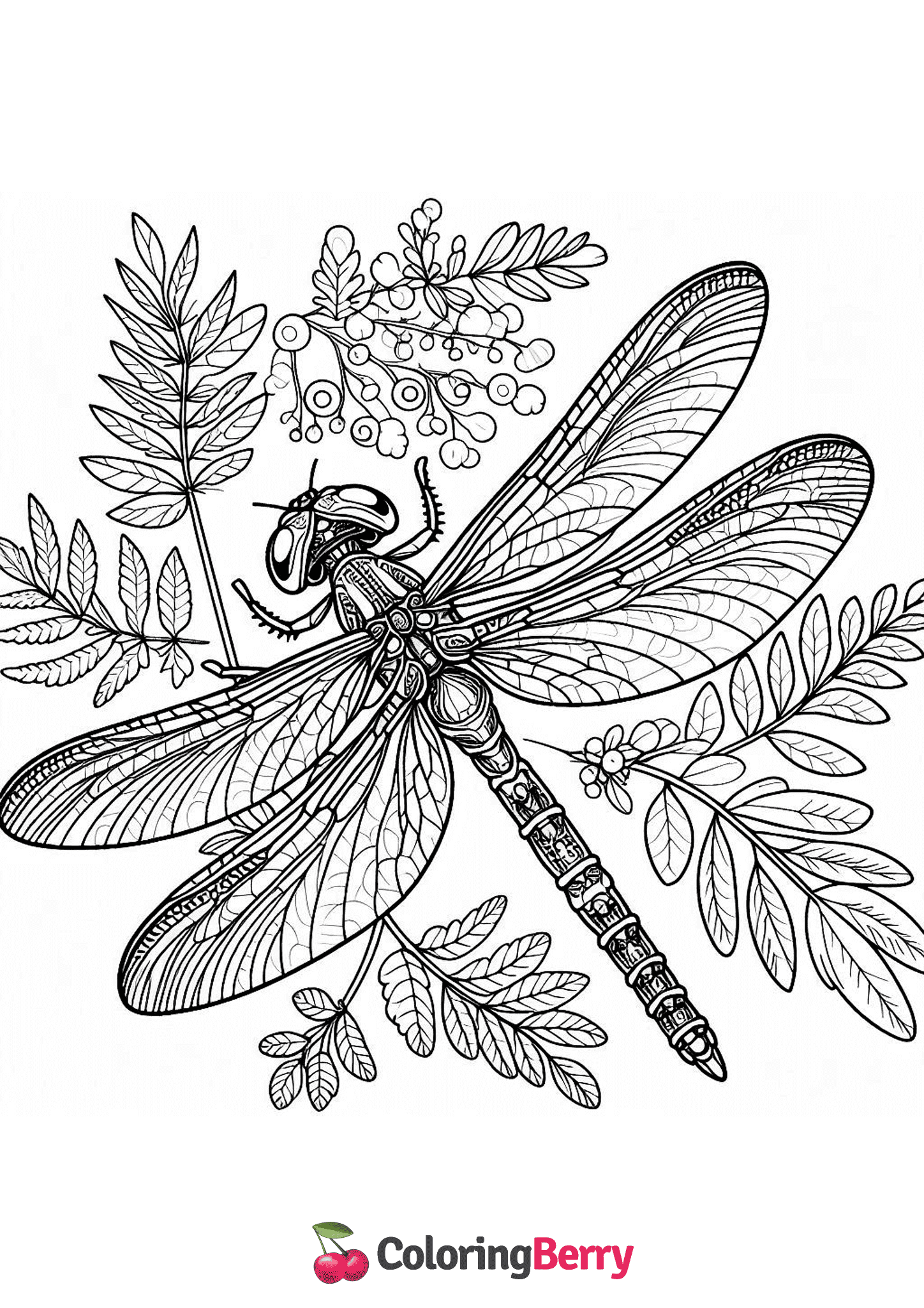 Realistic Dragonfly