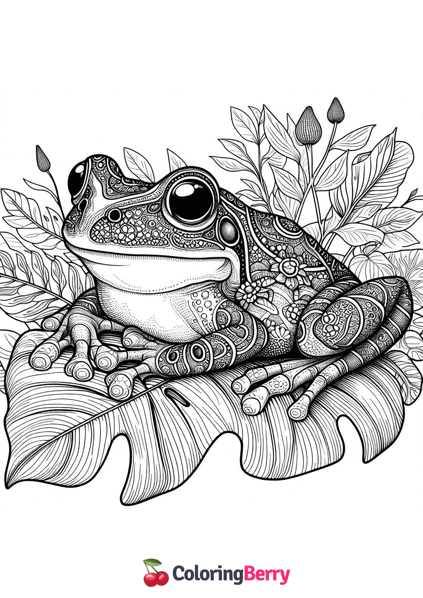 Realistic Frog