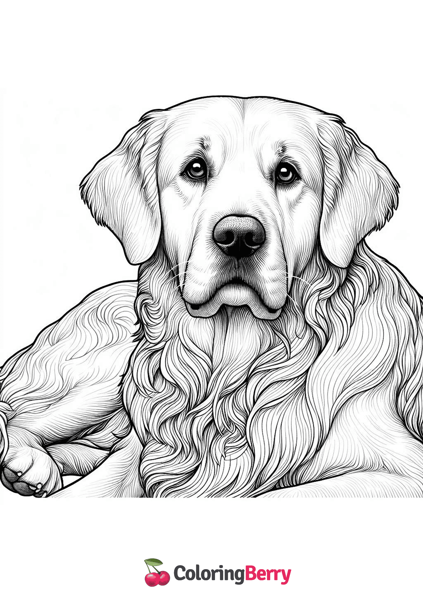 Realistic Golden Retriever Dog