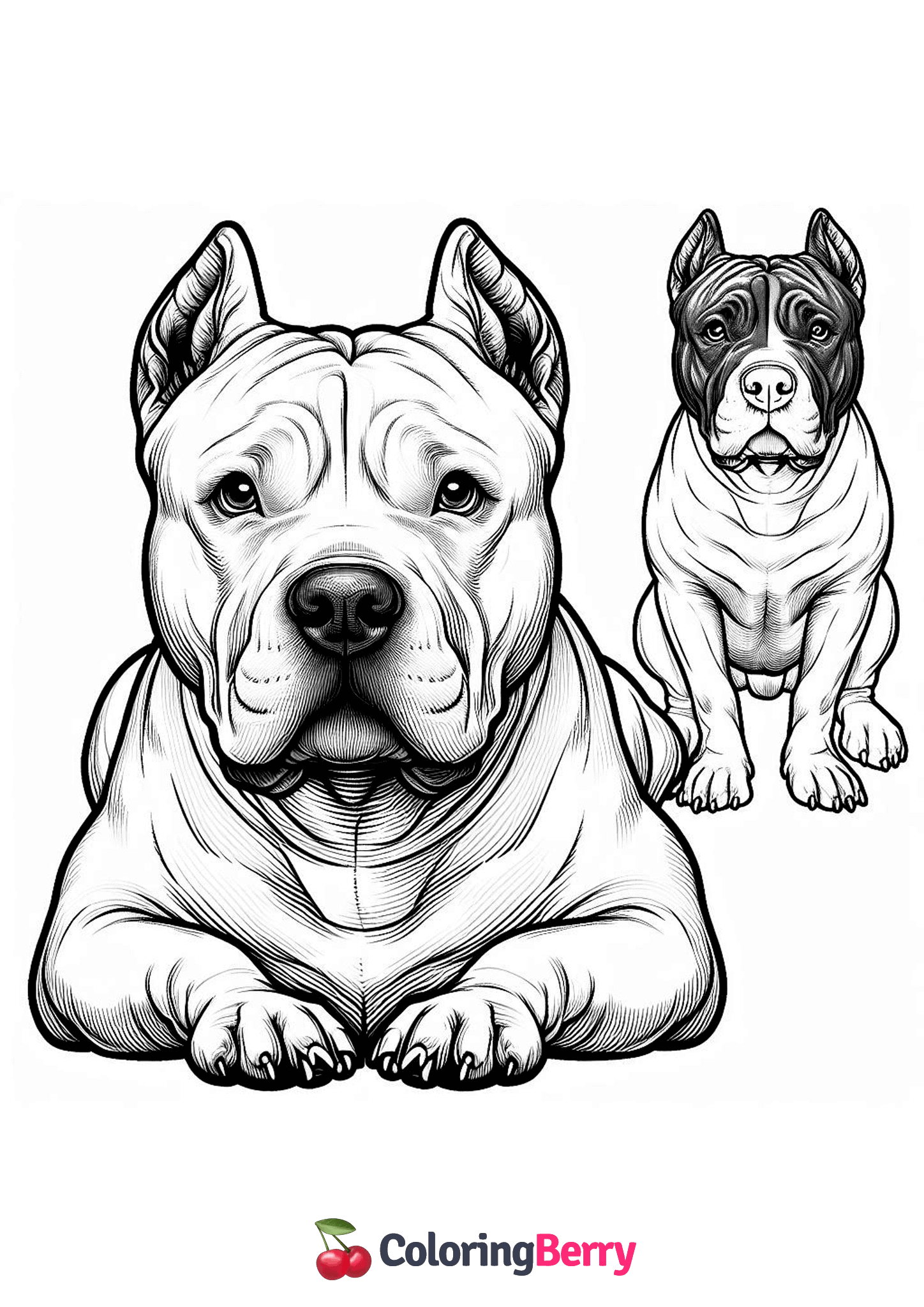Realistic Pitbull