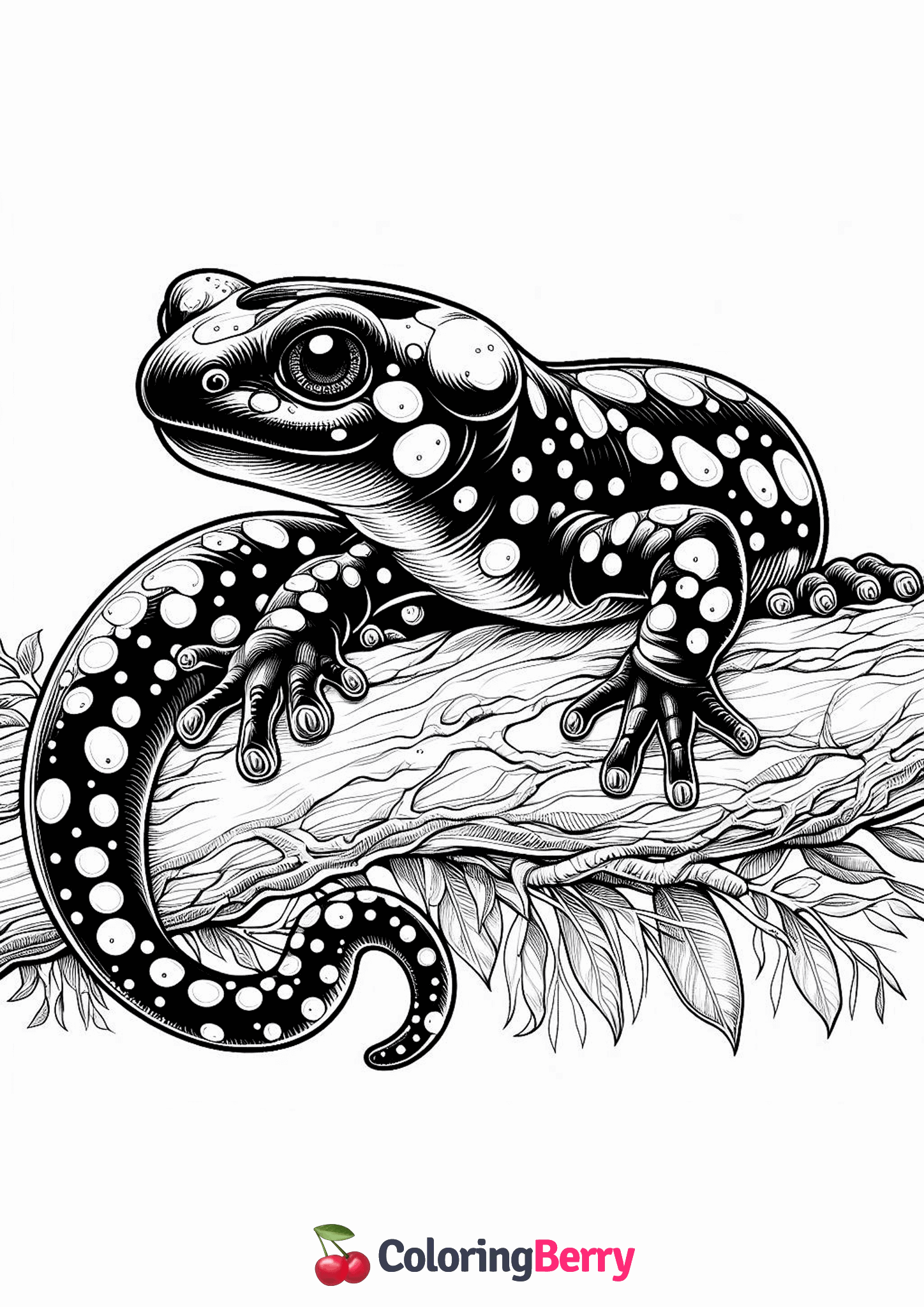 Realistic Salamander