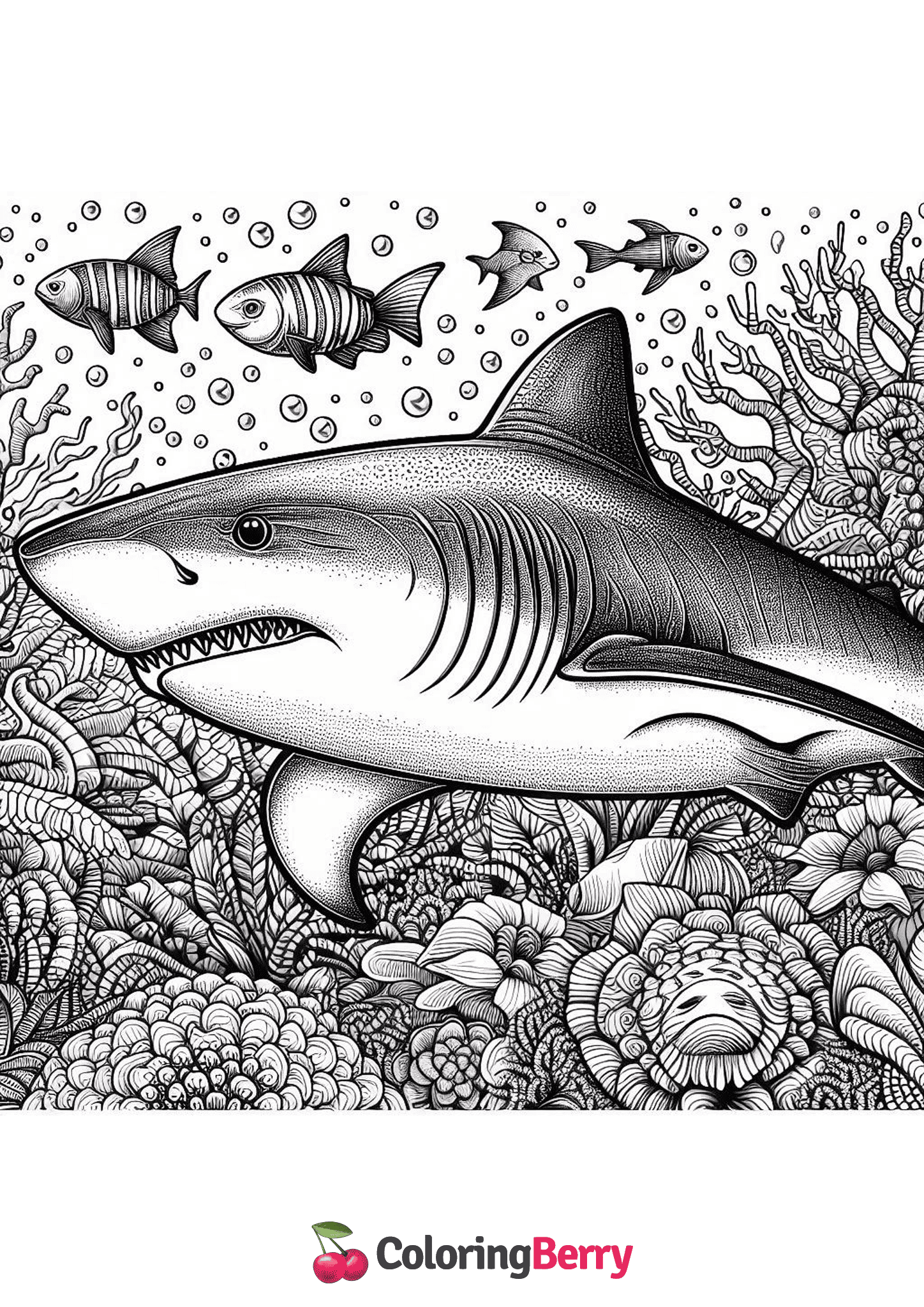 Realistic Shark