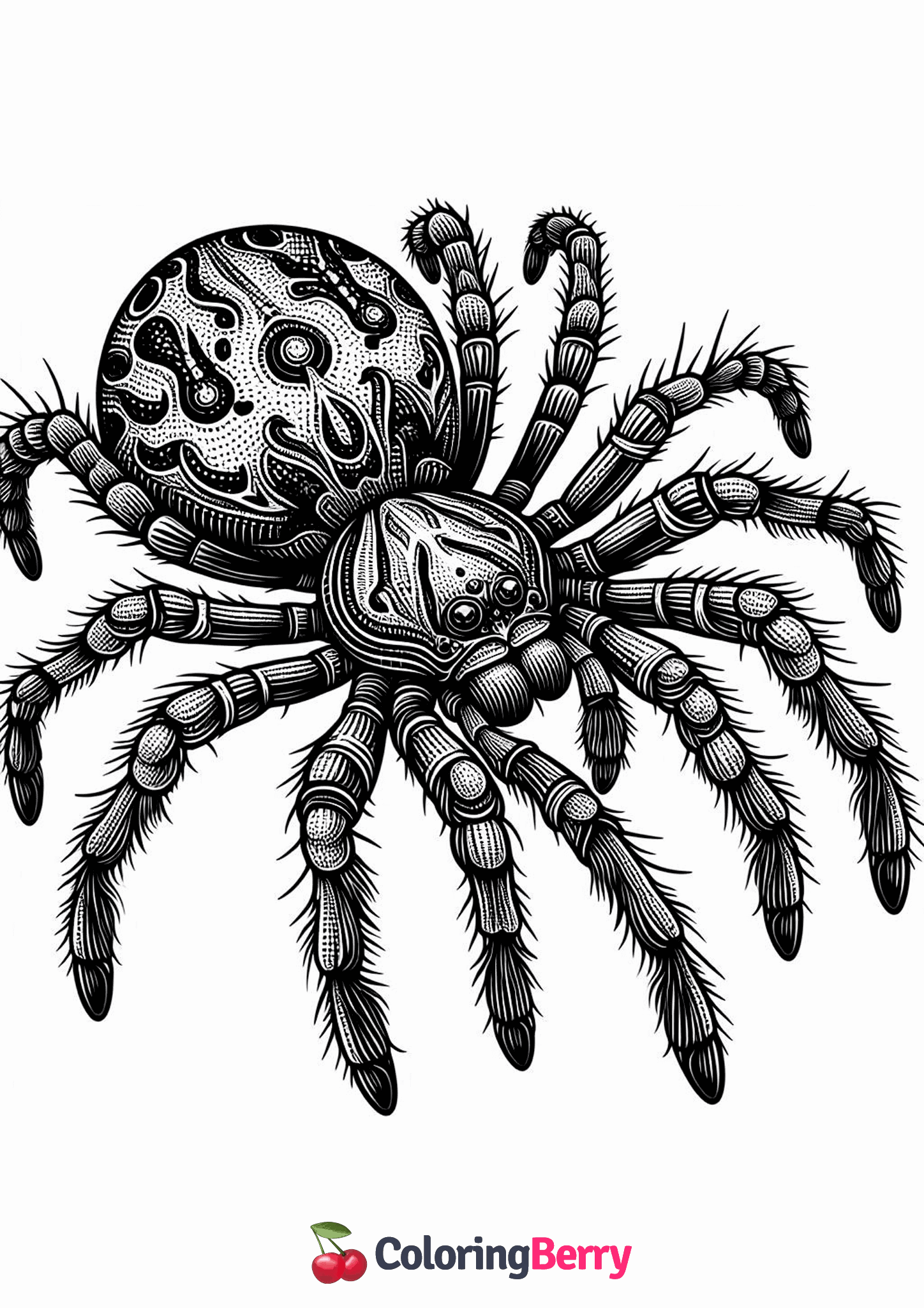 Realistic Spider