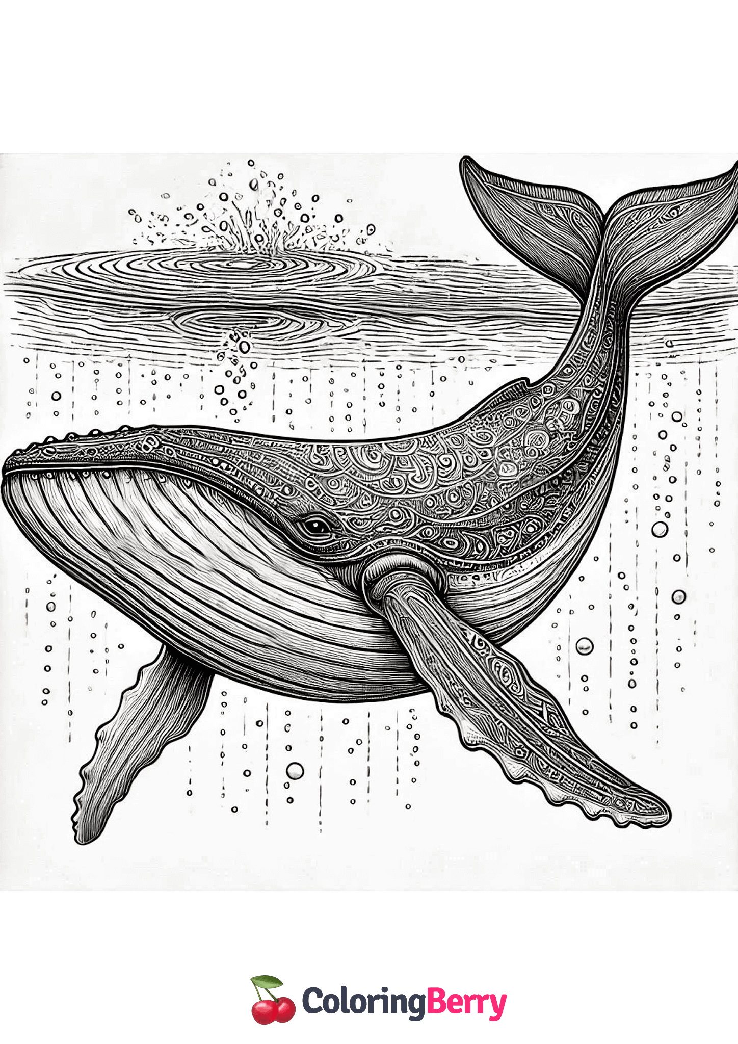 Realistic Whale