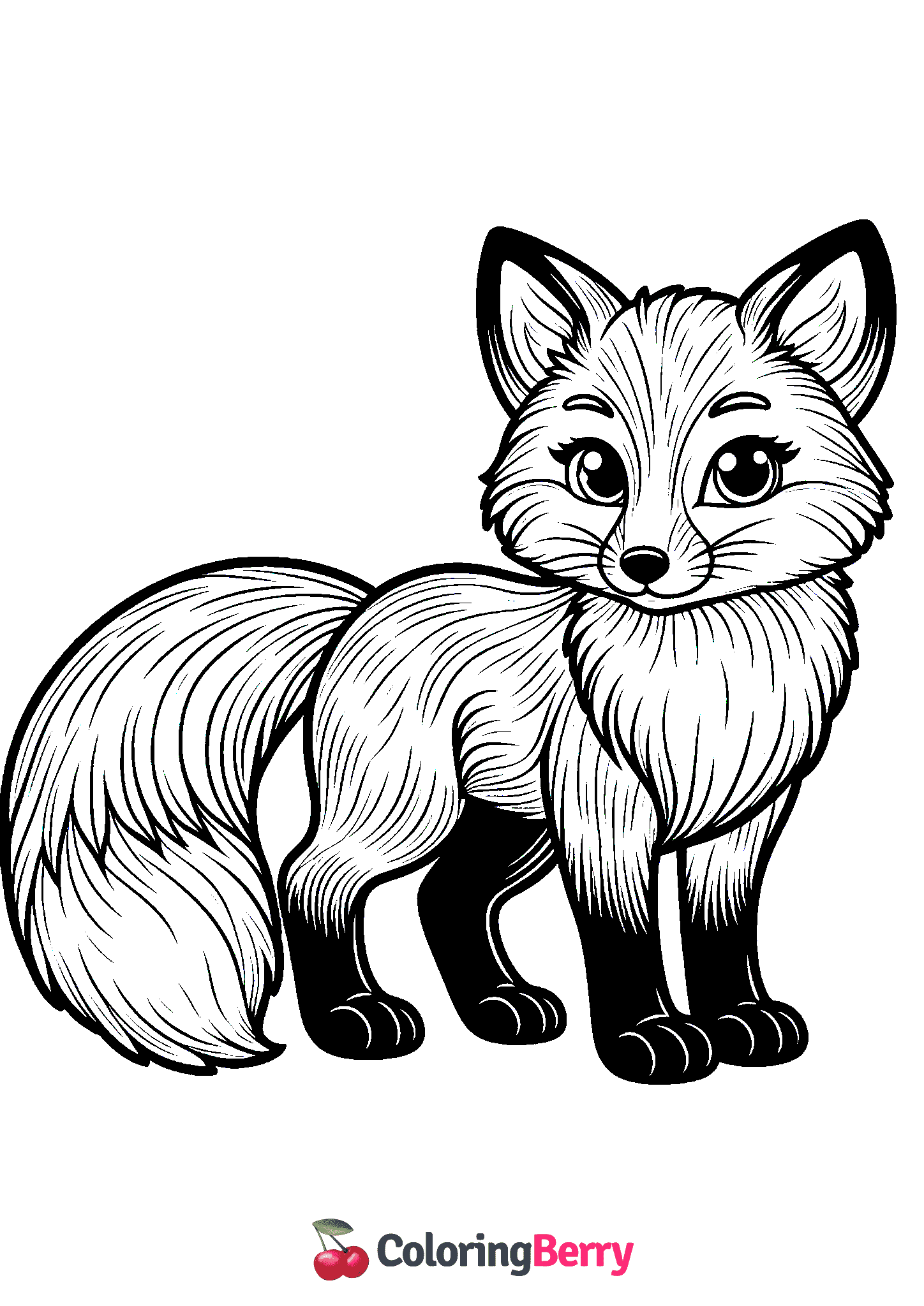 Red Fox