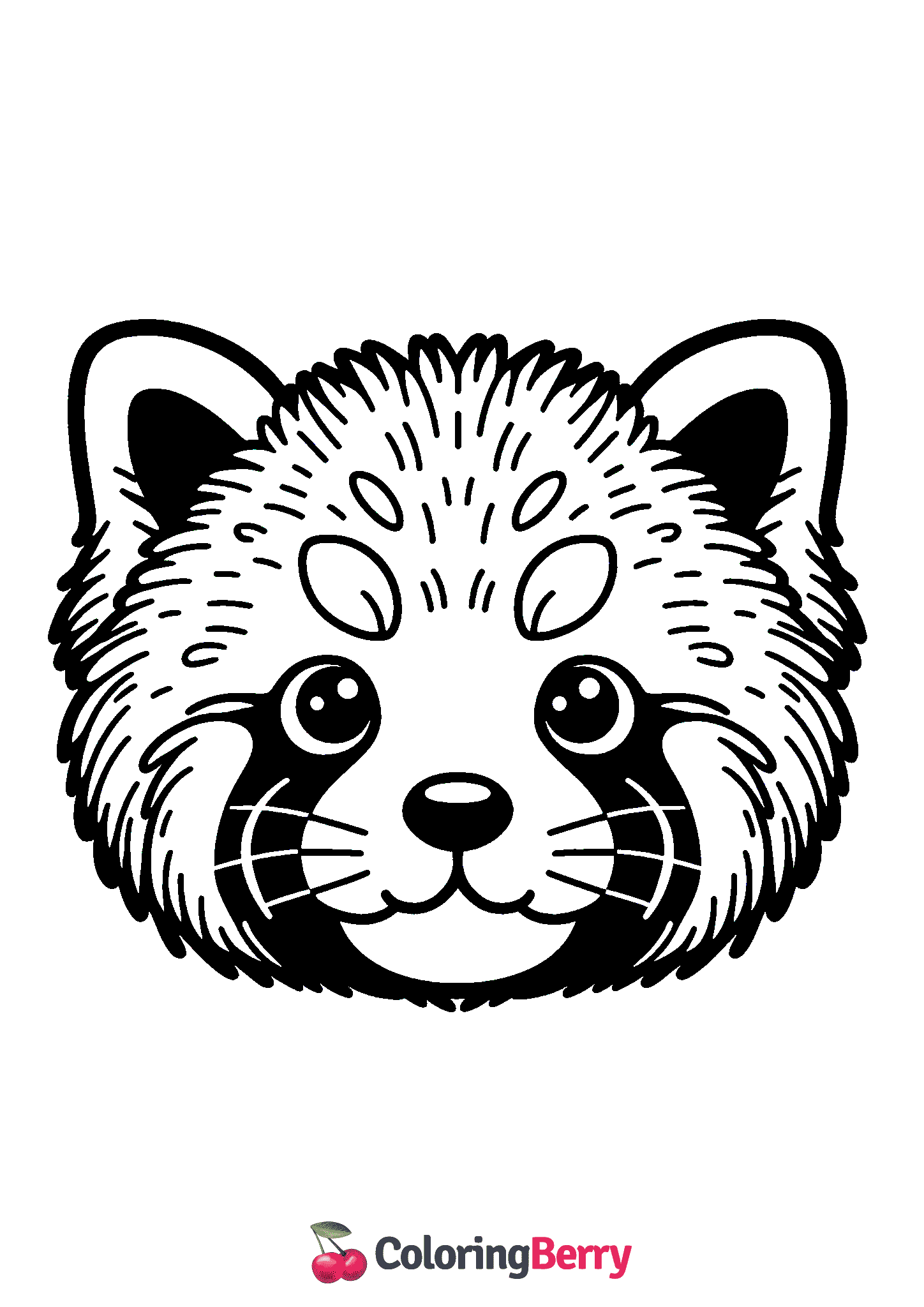 Red Panda Face