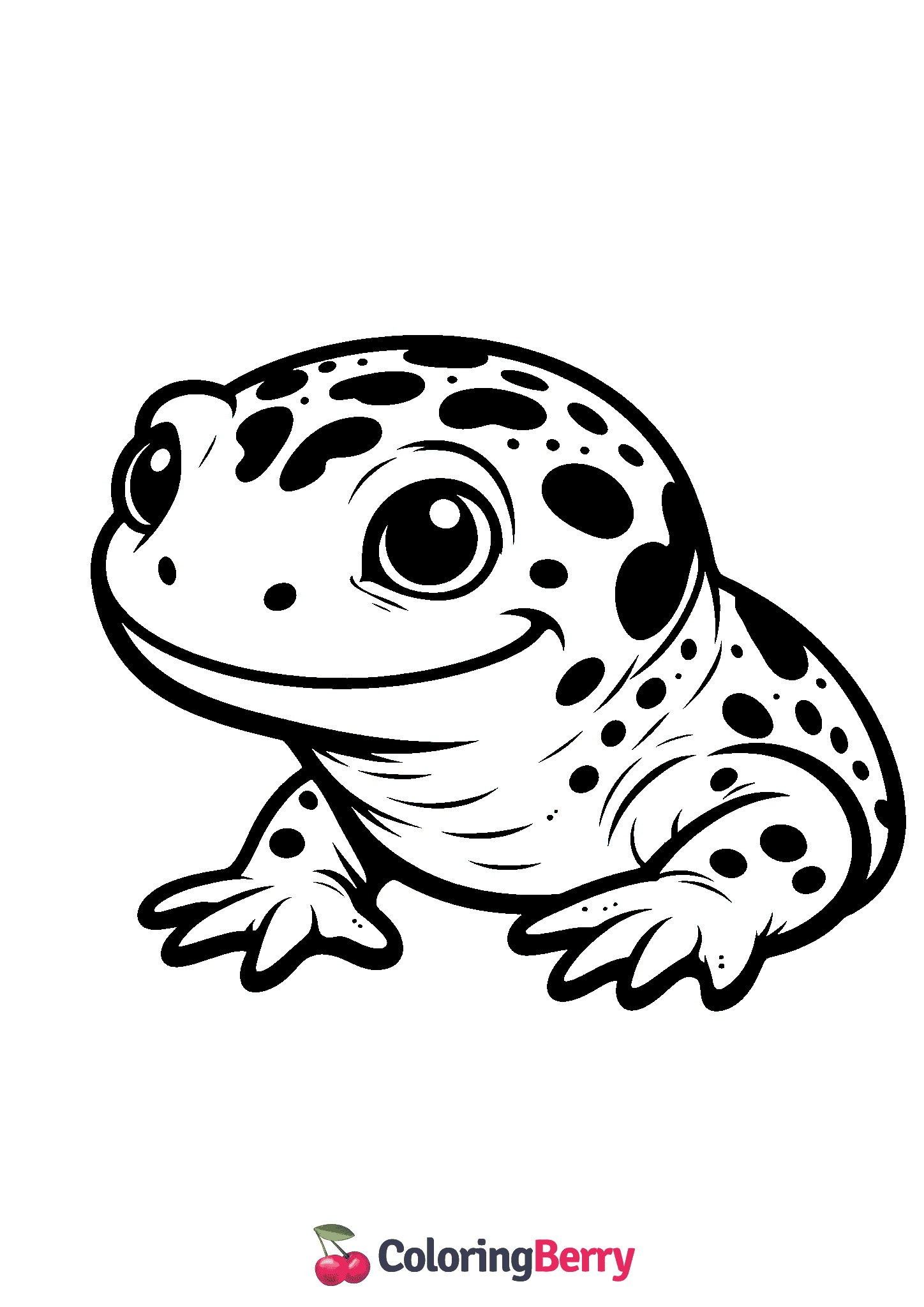 Salamander Head