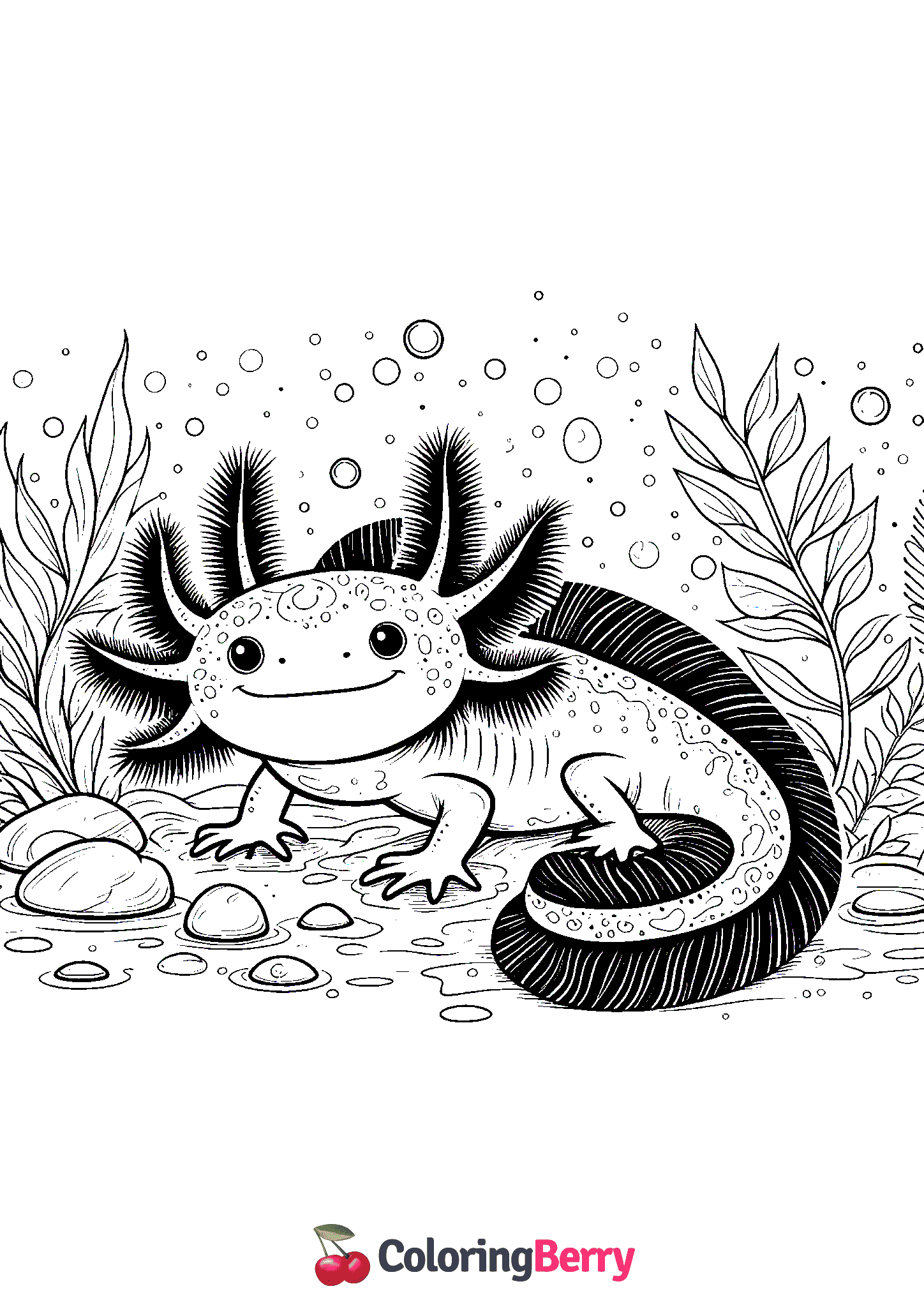 Salamander Larvae