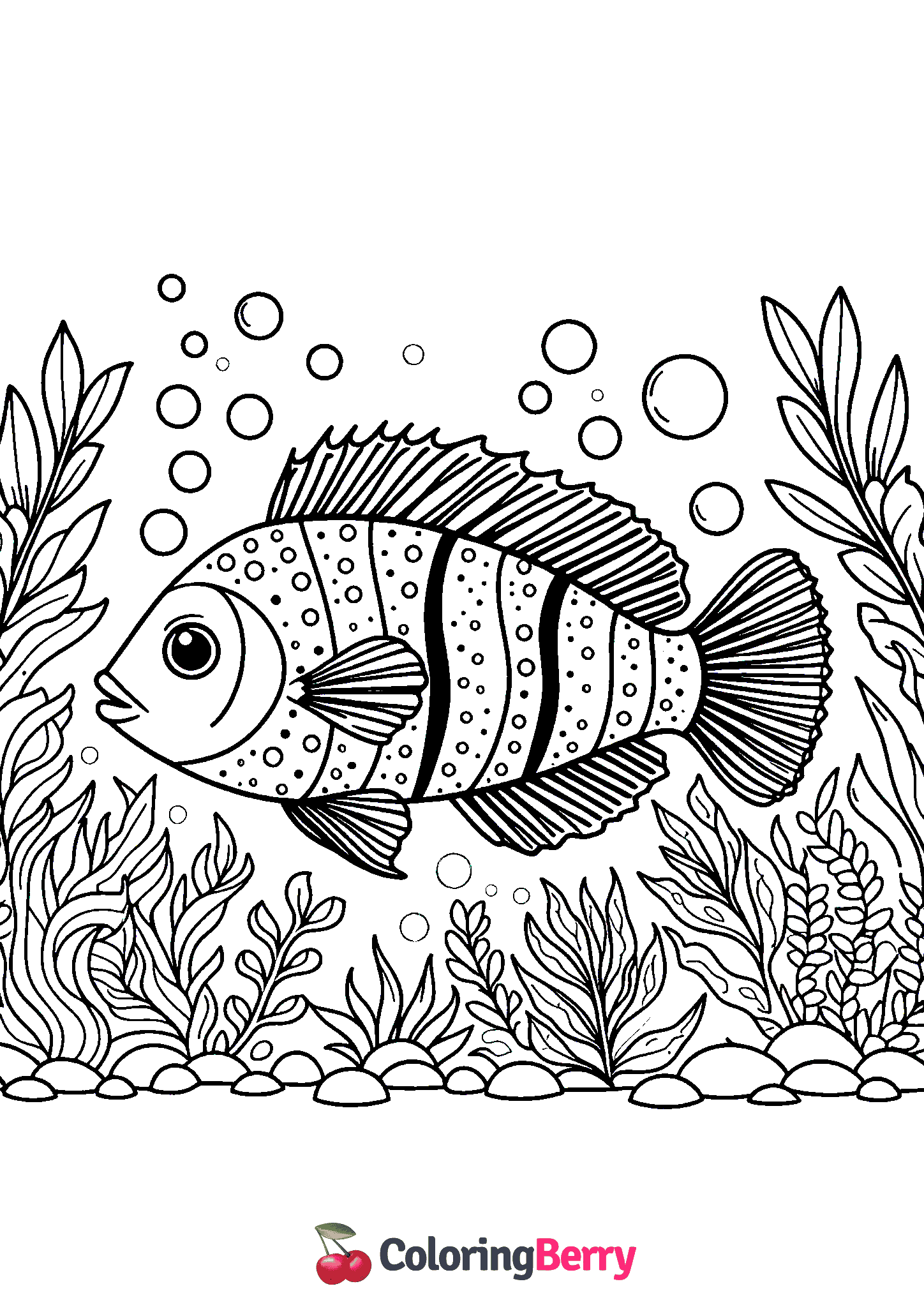 Salt Water Fish