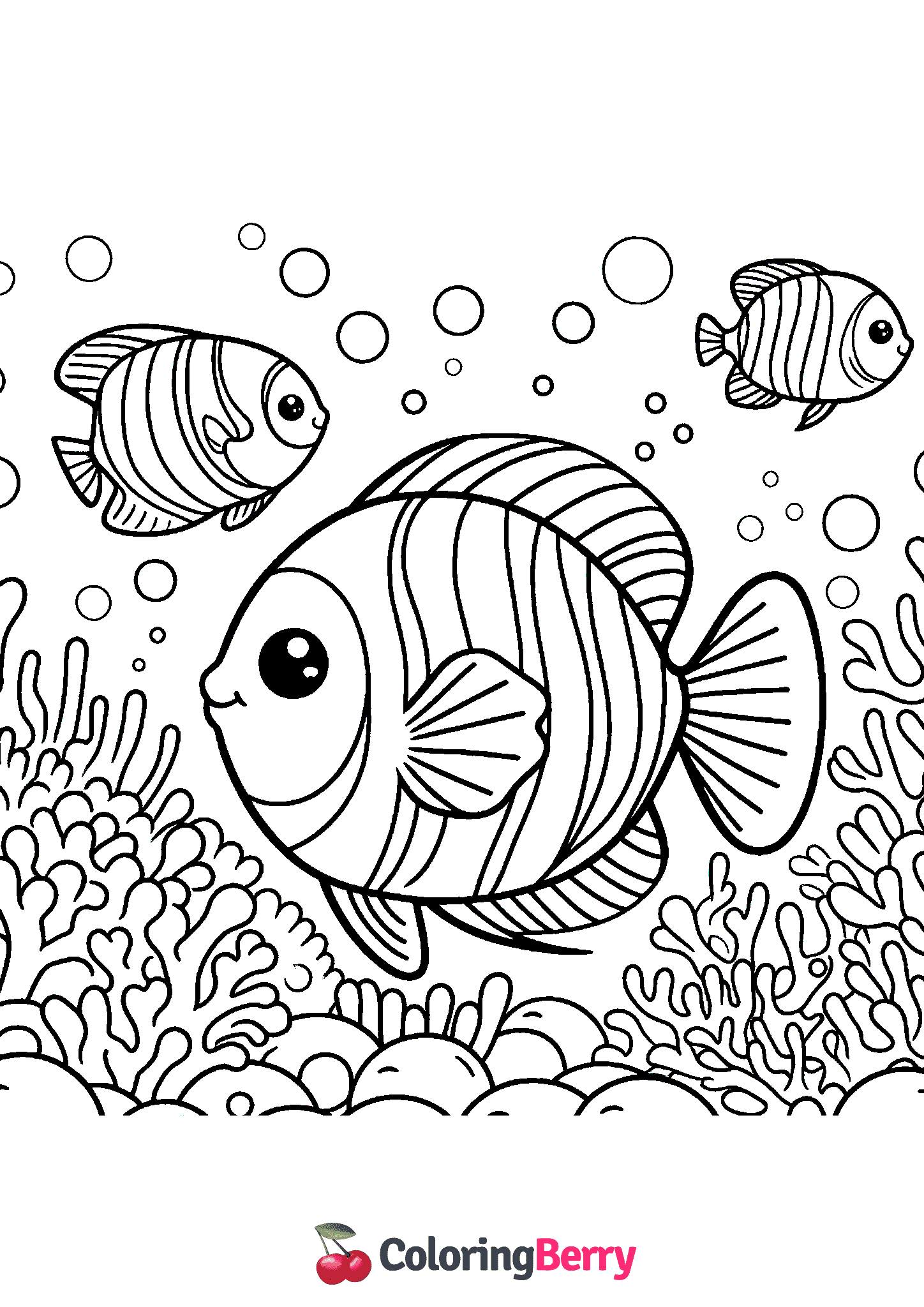 Saltwater Fish