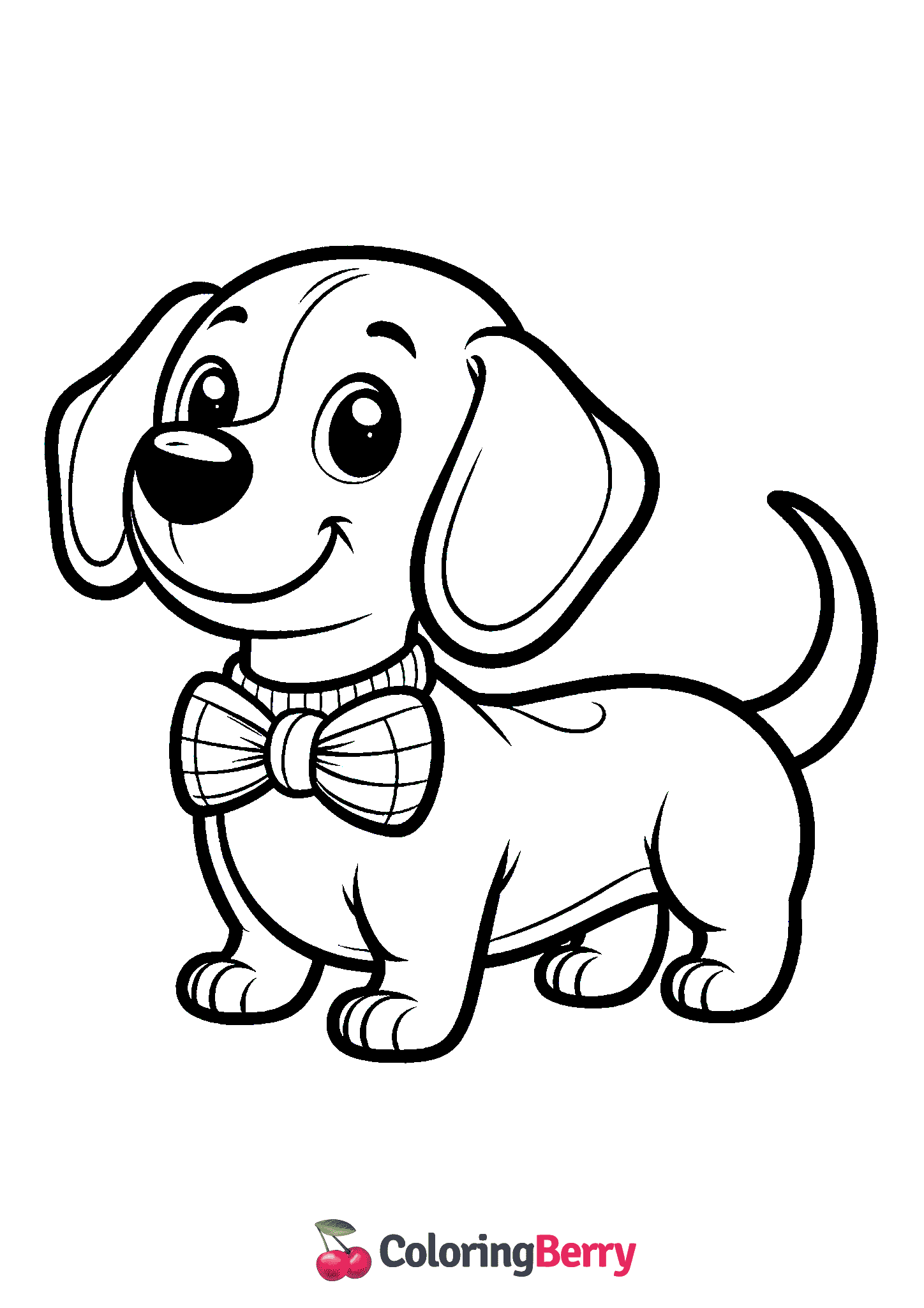 Sausage Dog