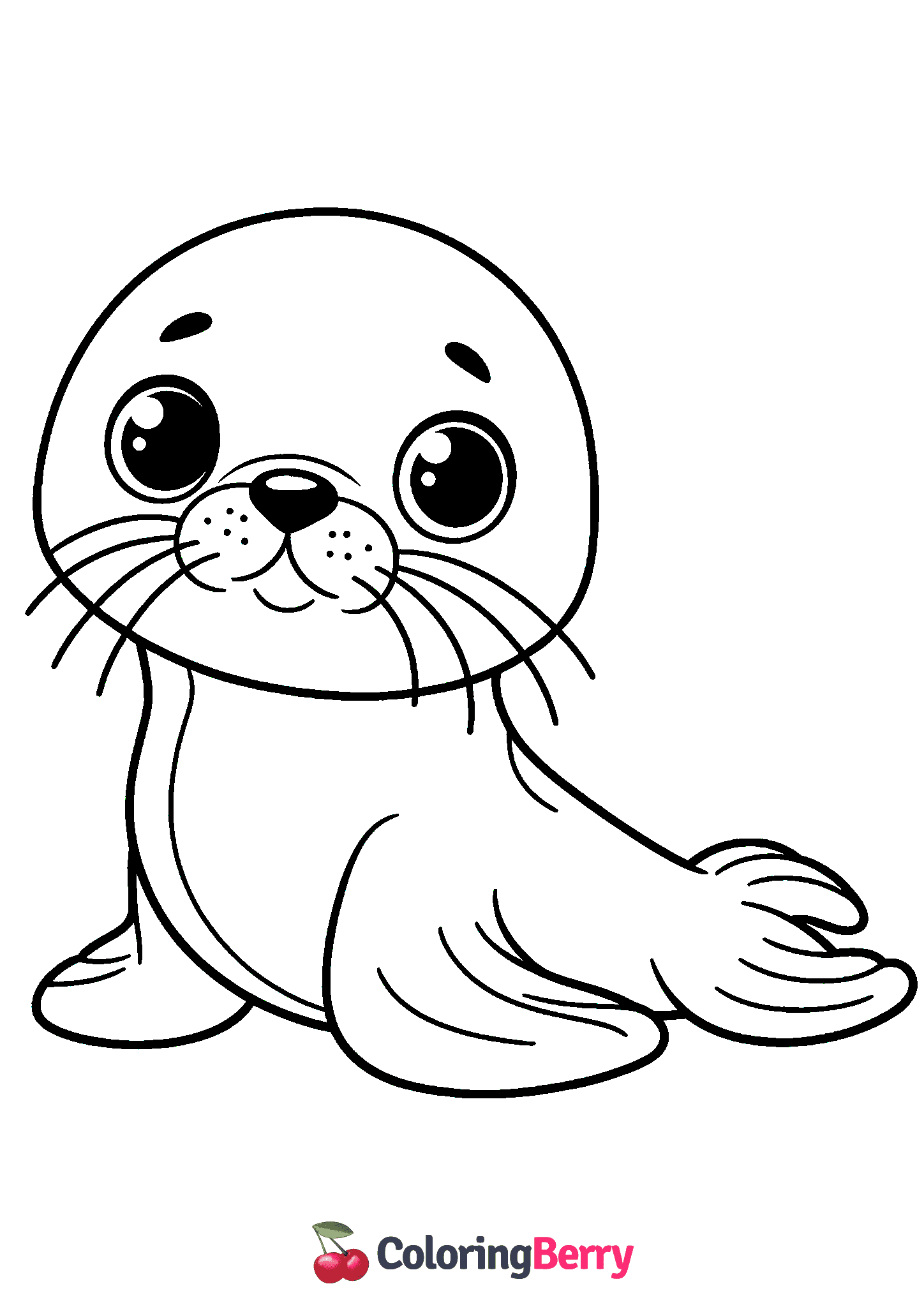 Sea Lion Cub