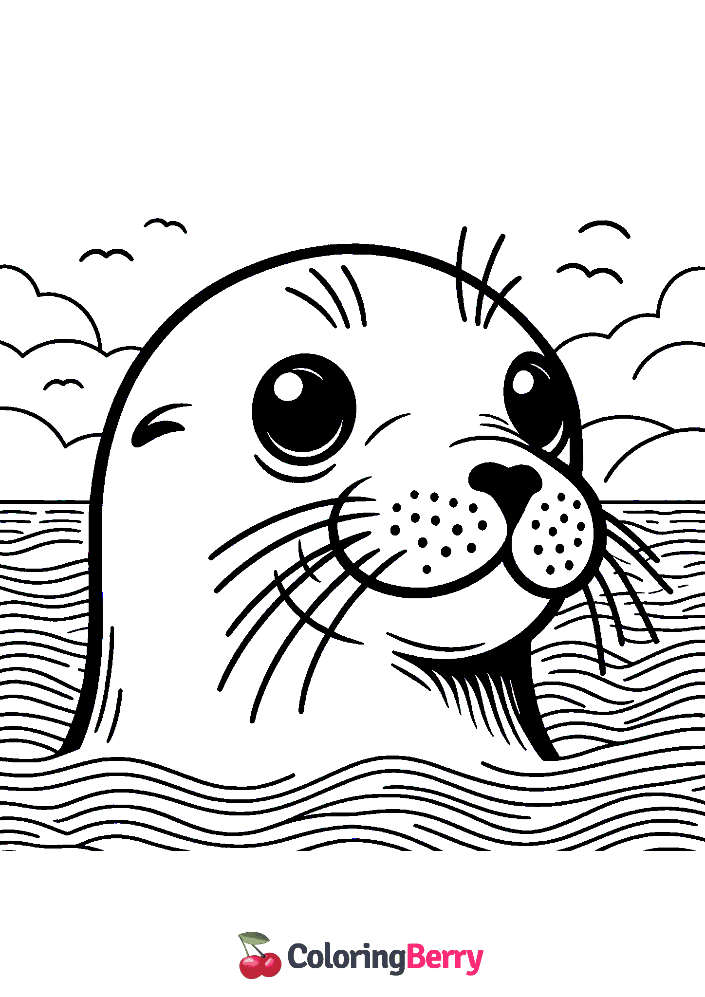 Sea Lion Head