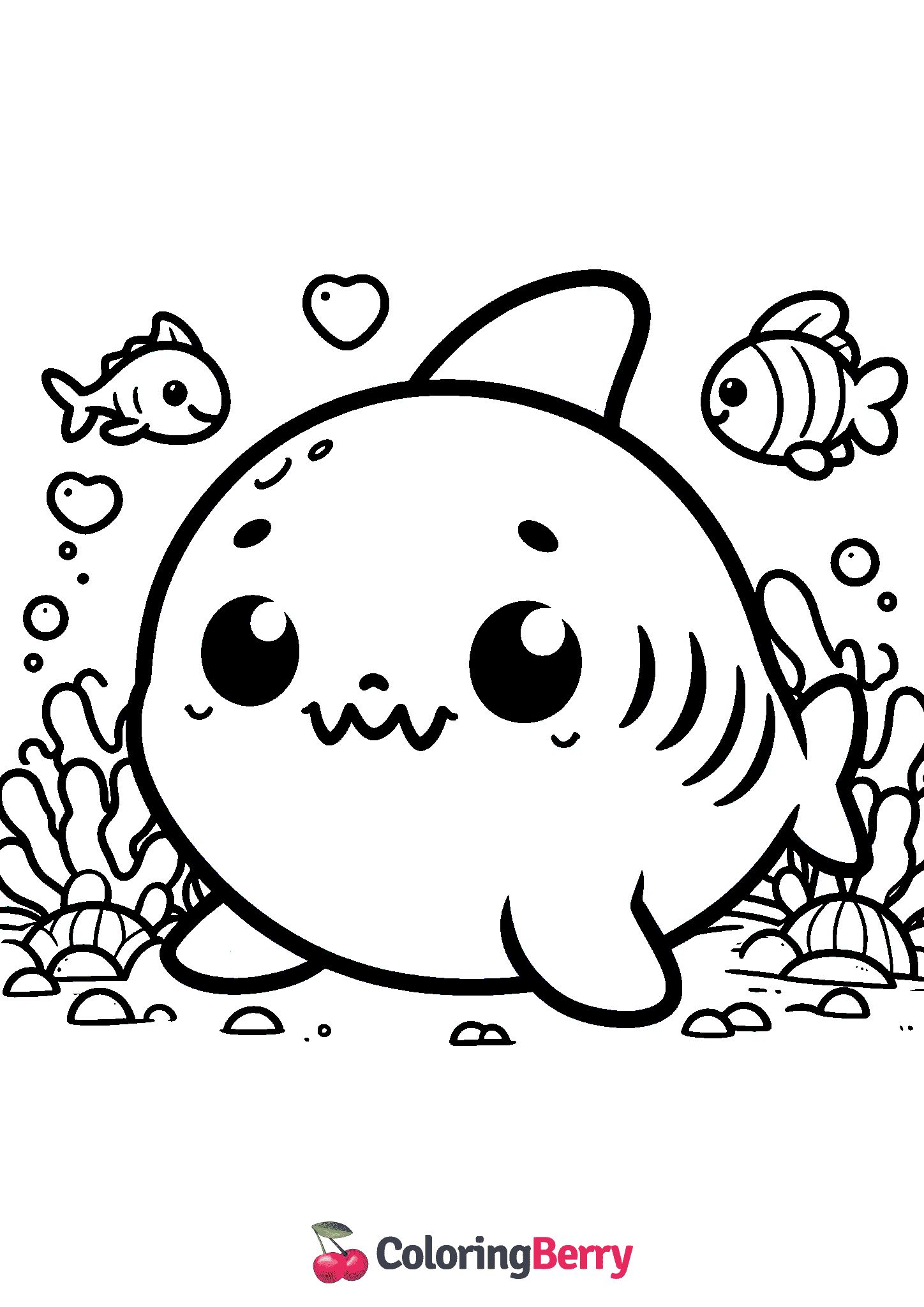 Shark Cub