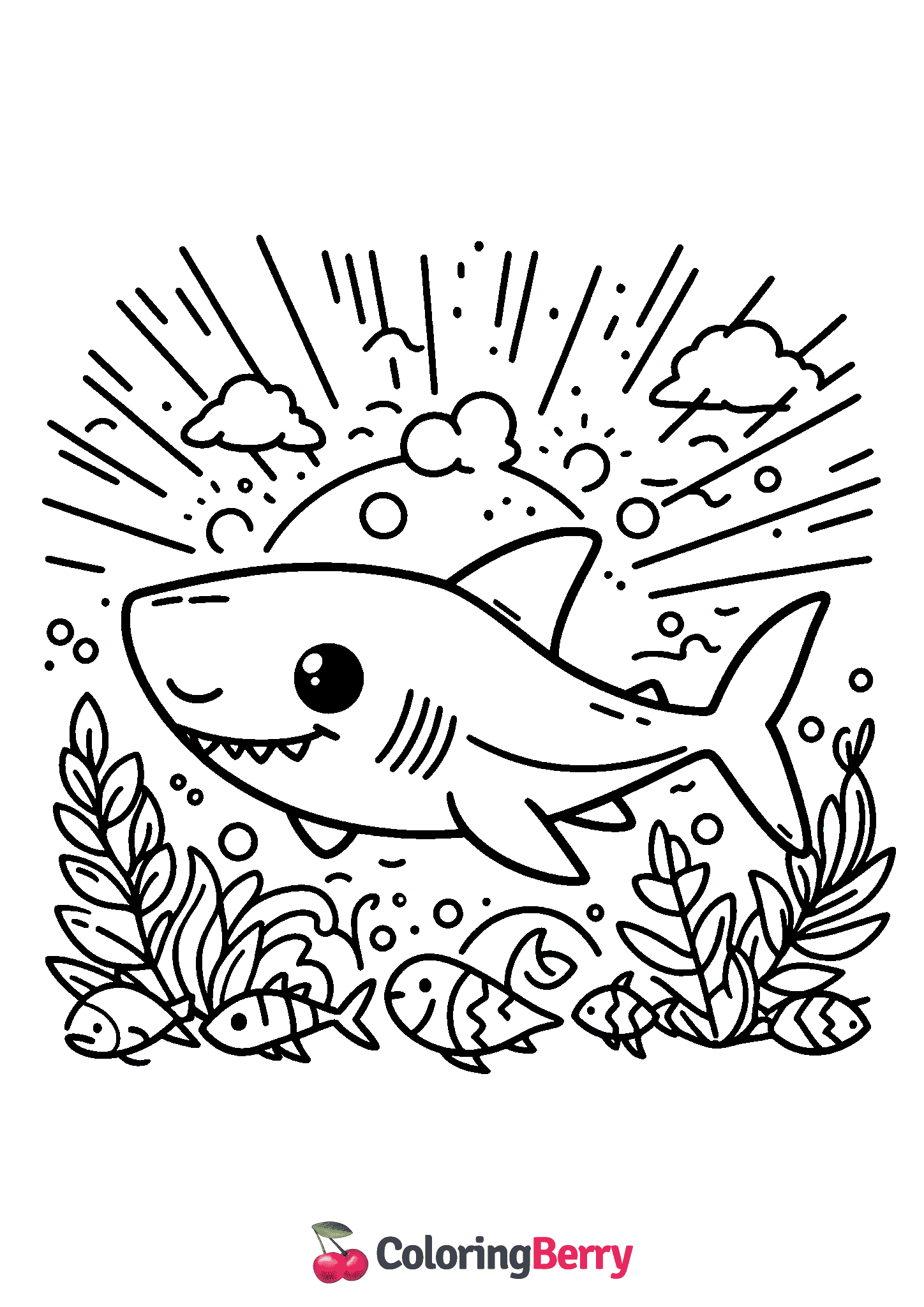 Shark
