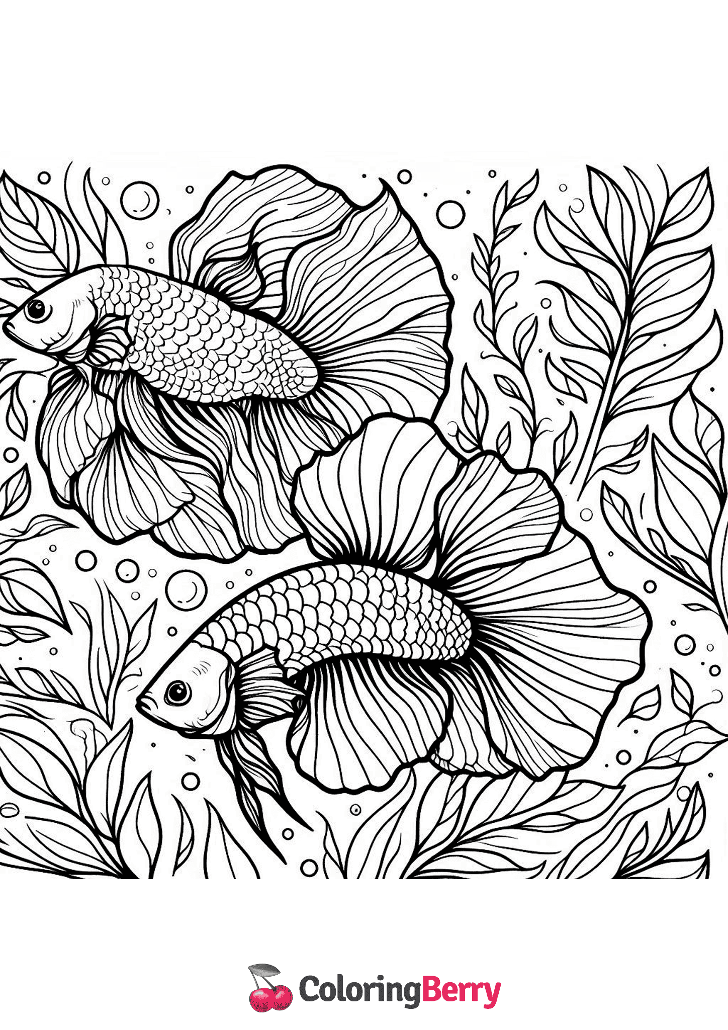 Siamese Fighting Fish