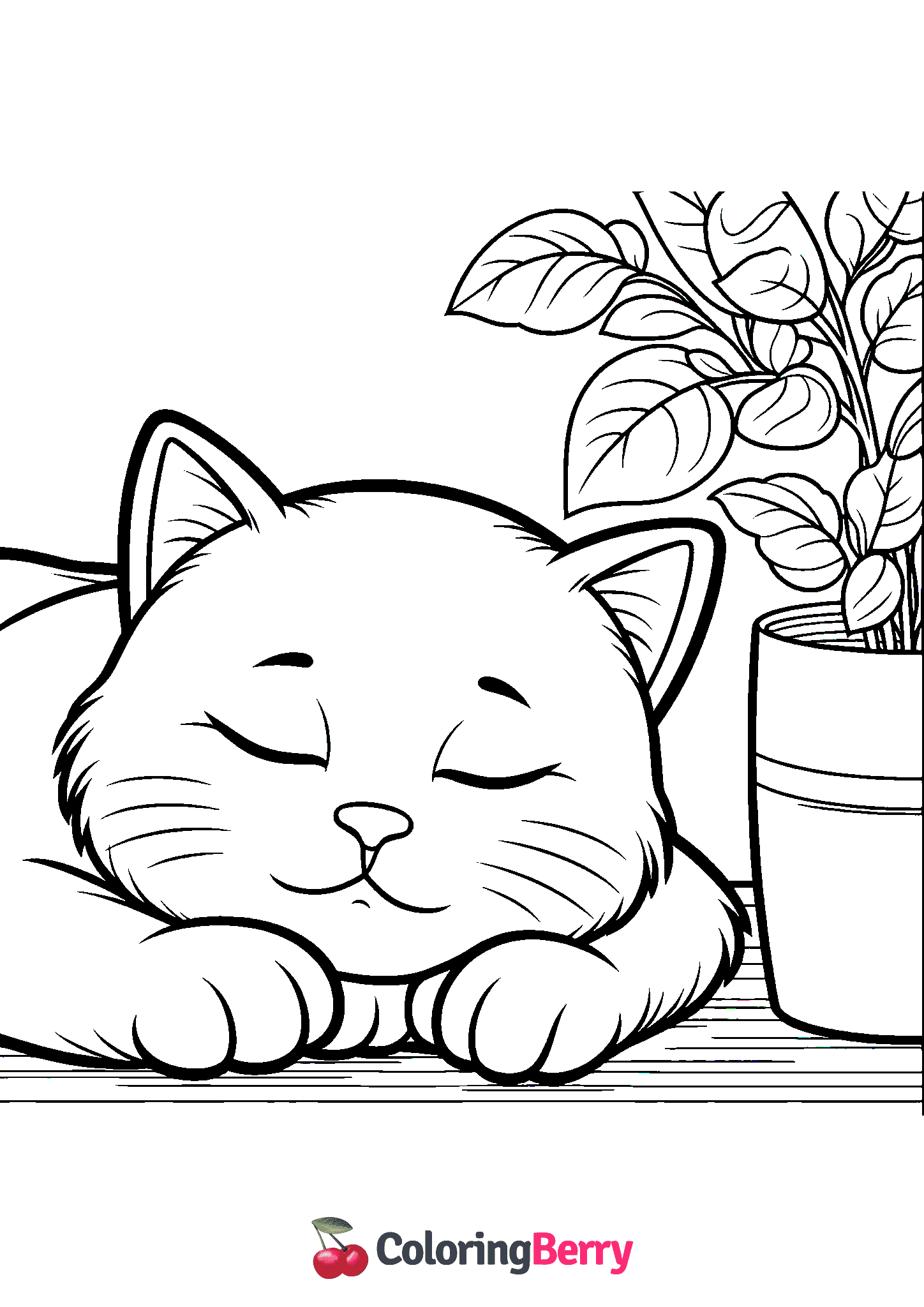 Sleeping Cat
