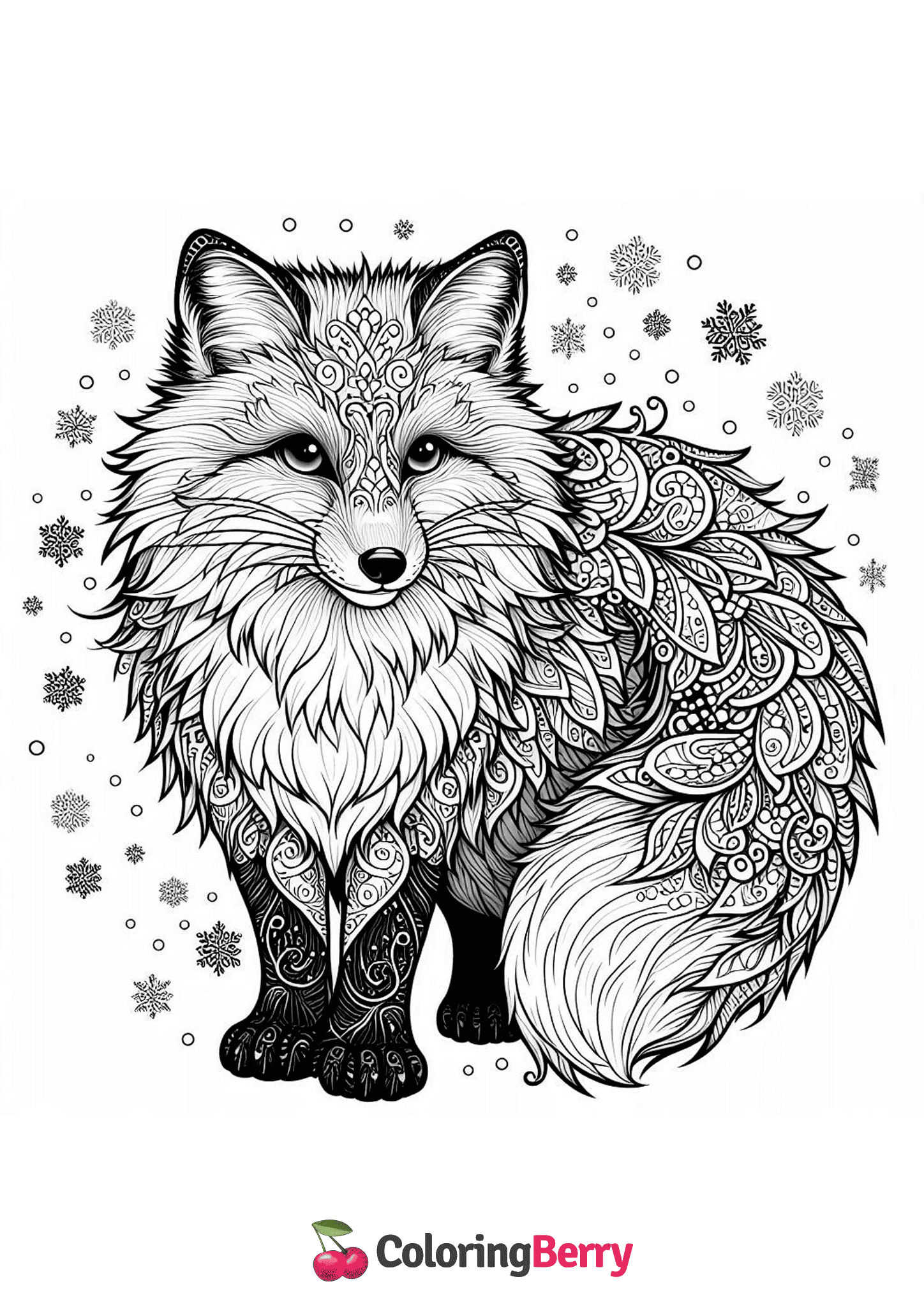 Snow Fox