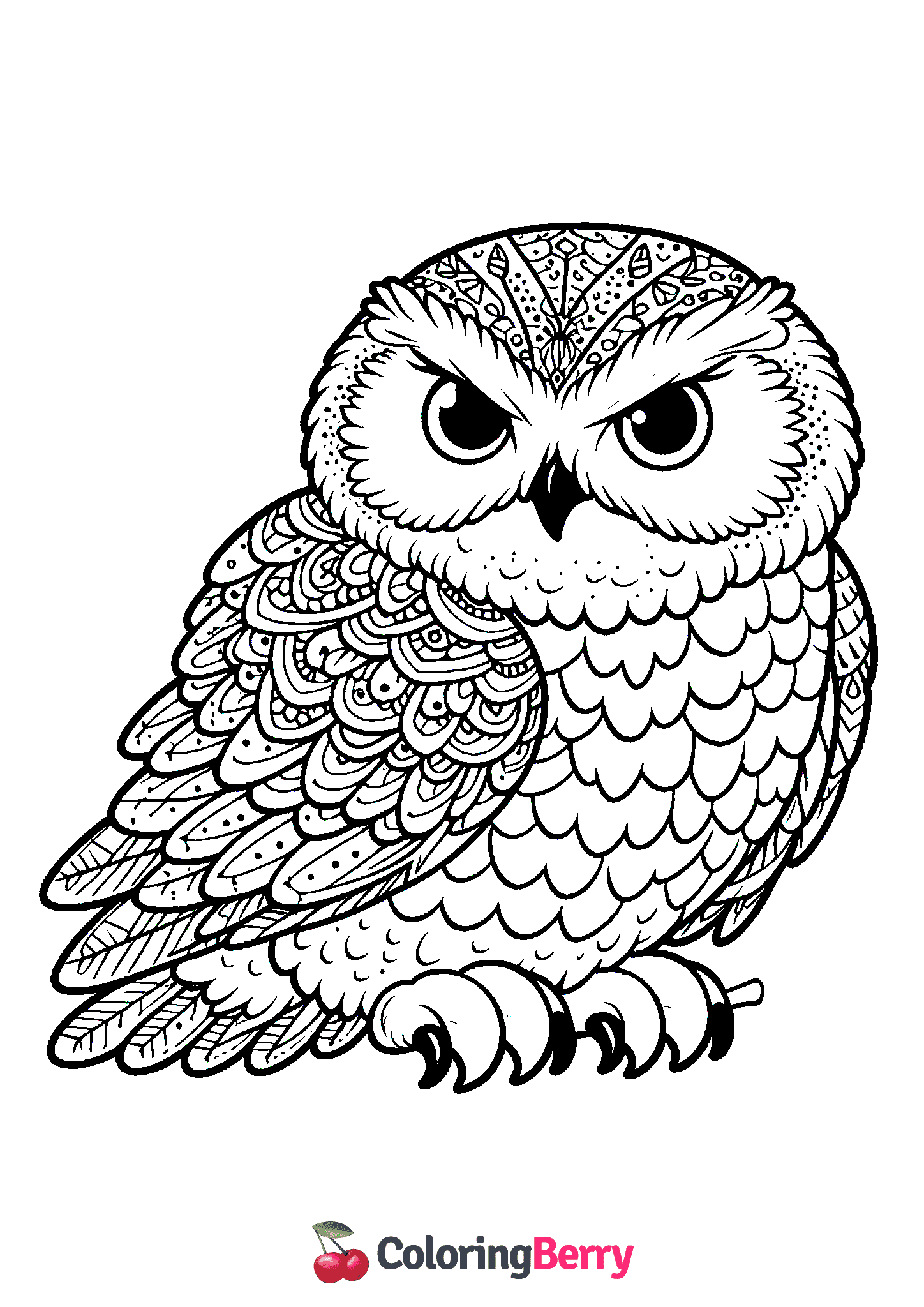 Snowy Owl