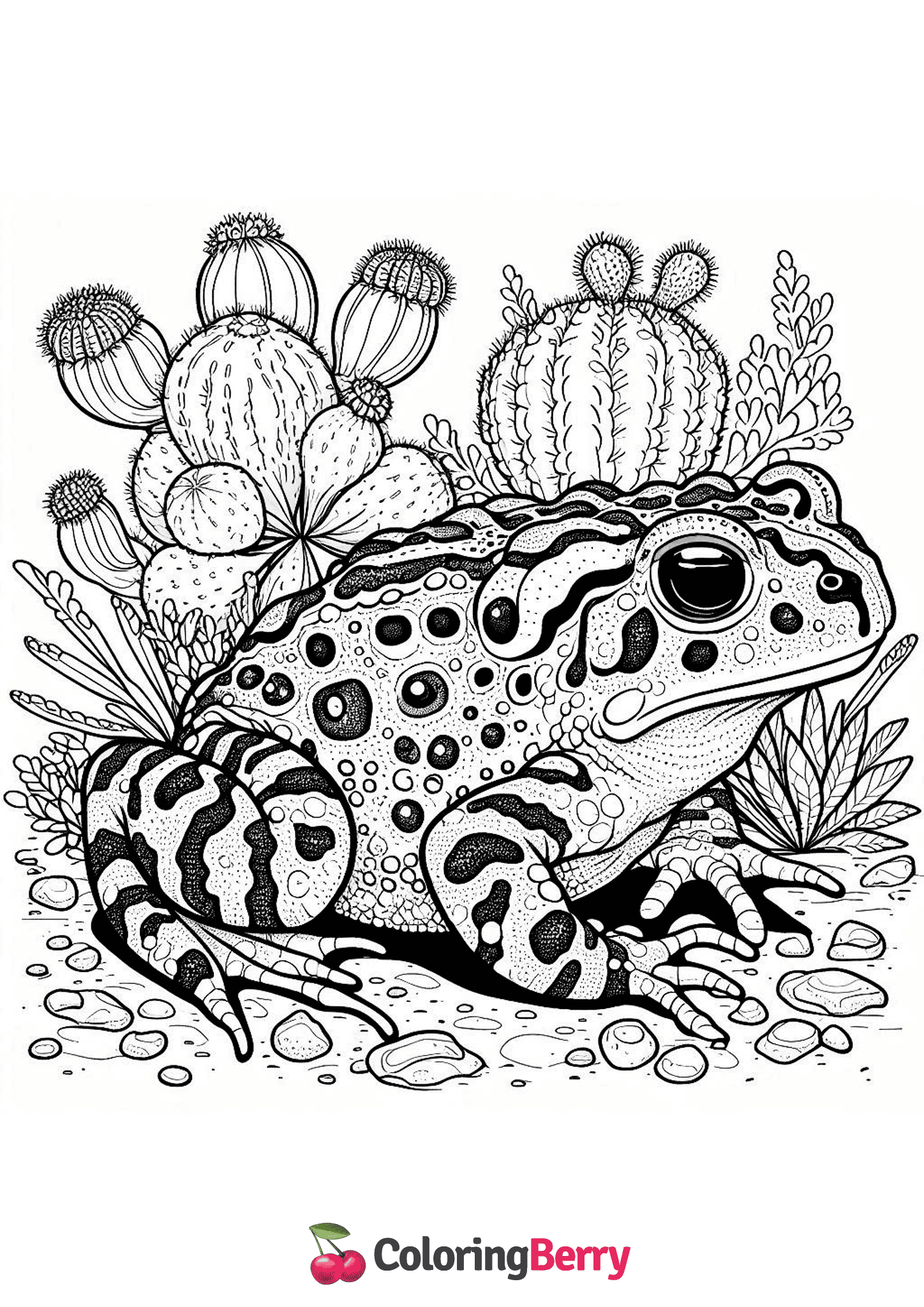 Sonoran Desert Toad