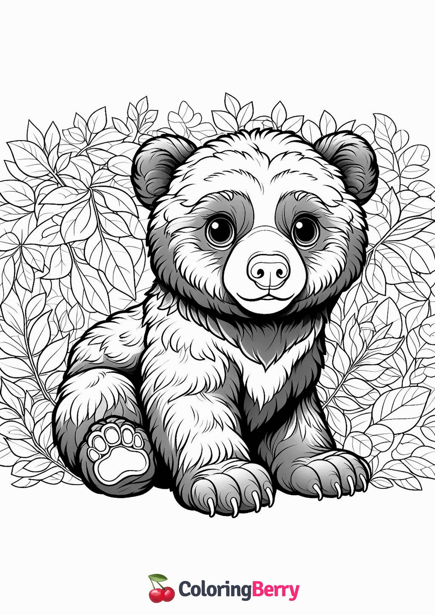 Spectacled Bear Cub