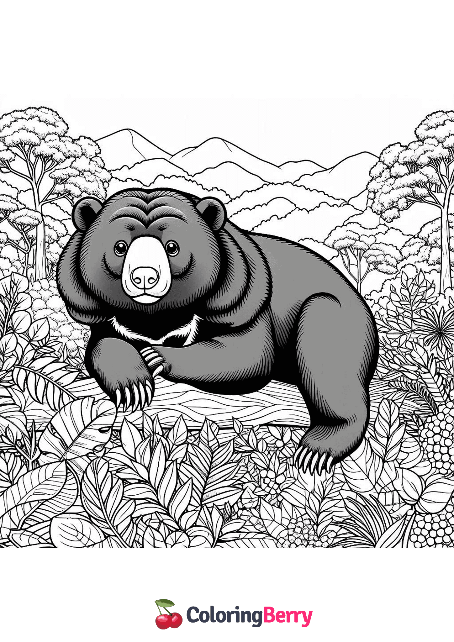 Sun Bear