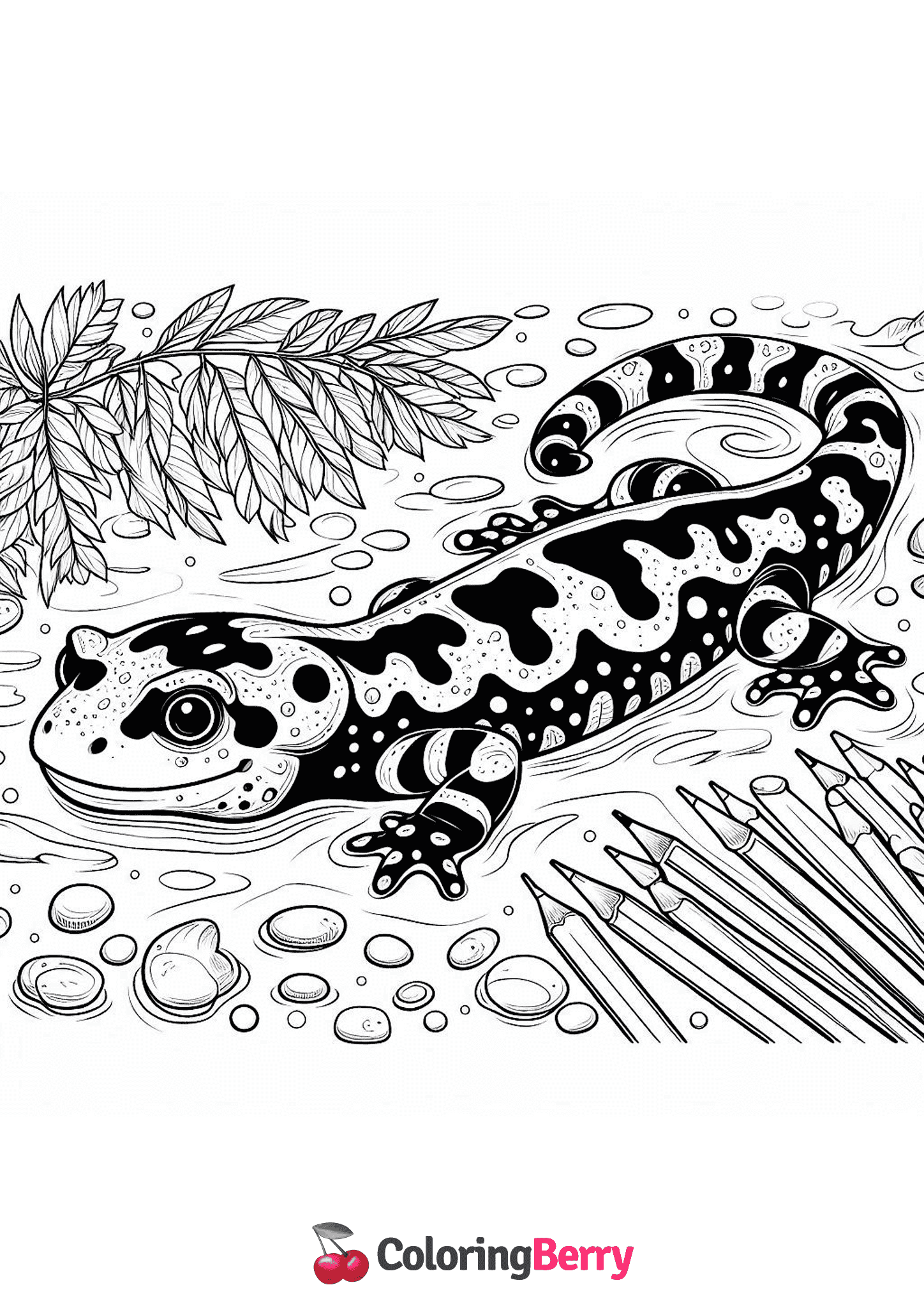 Tiger Salamander