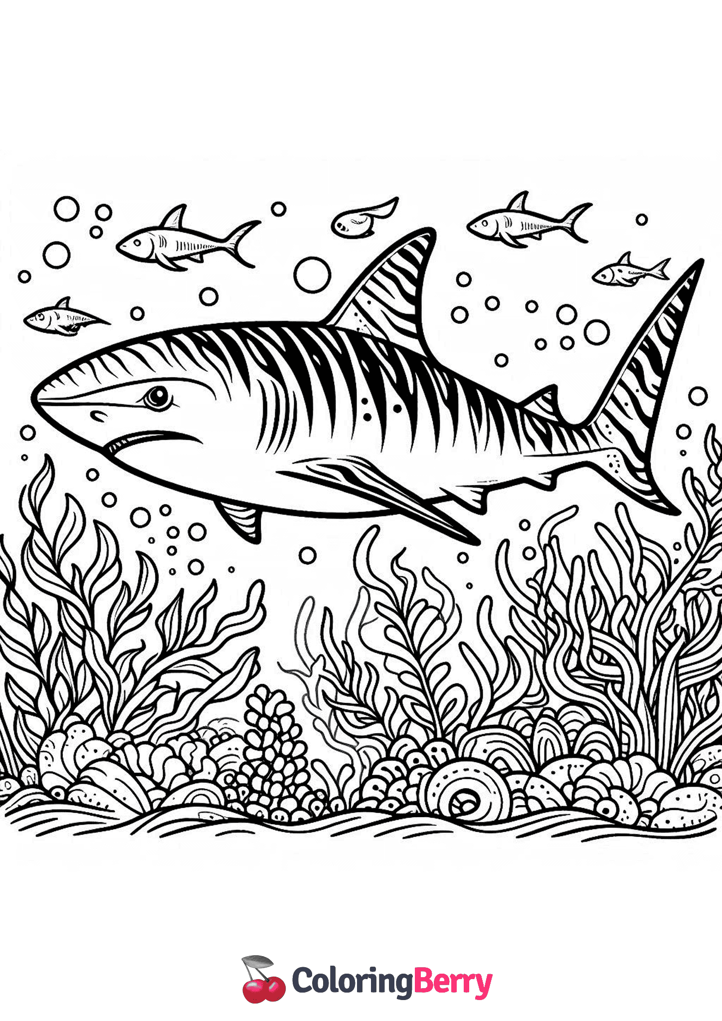 Tiger Shark