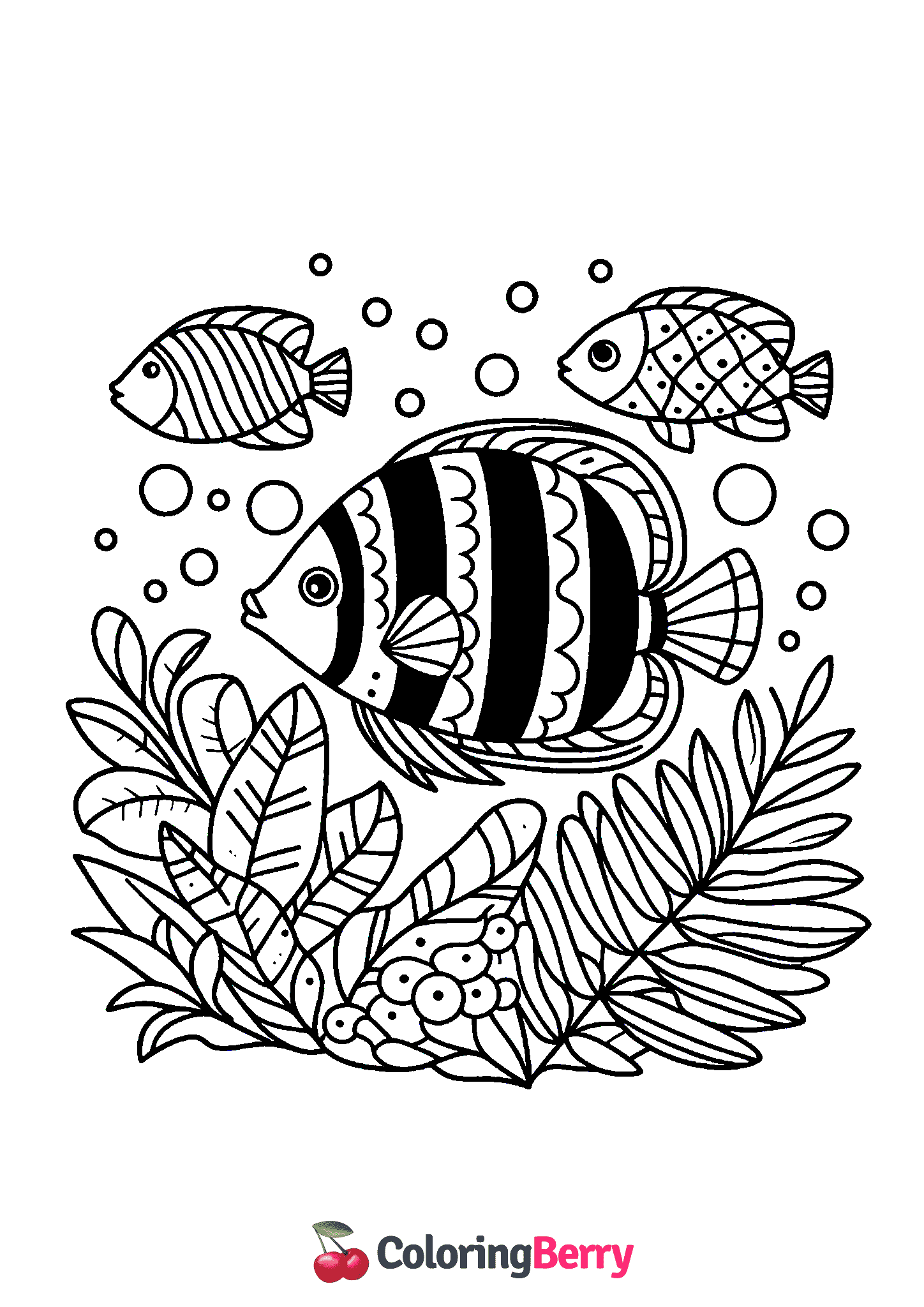 Tropical Fish
