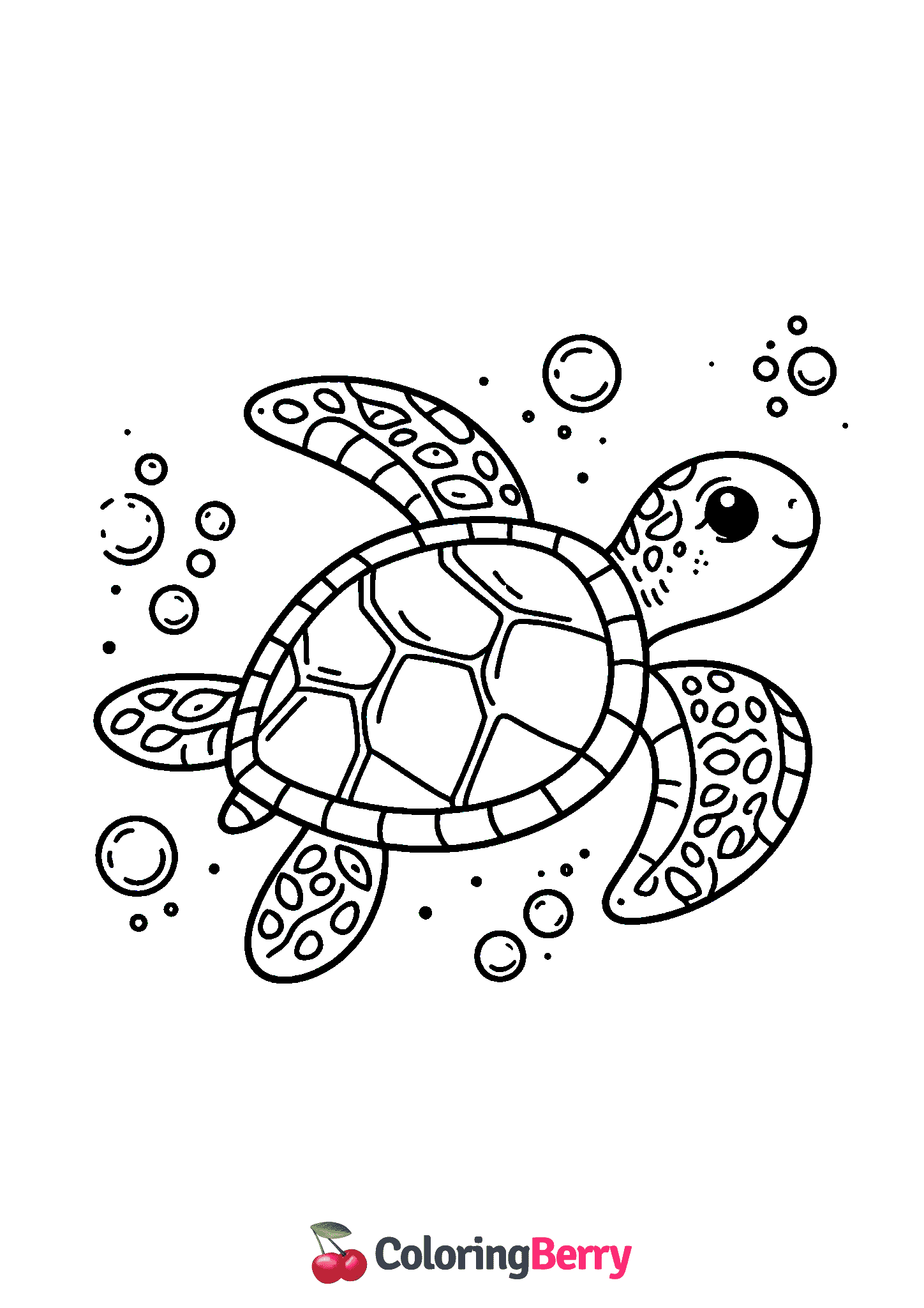 Turtle