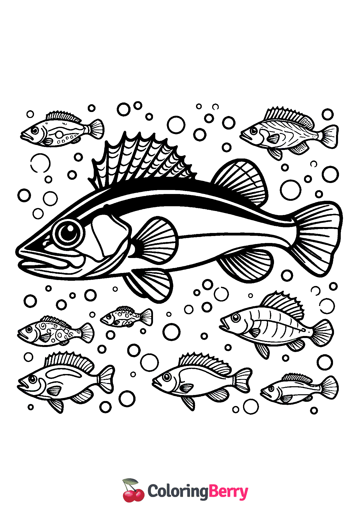 Walleye Fish