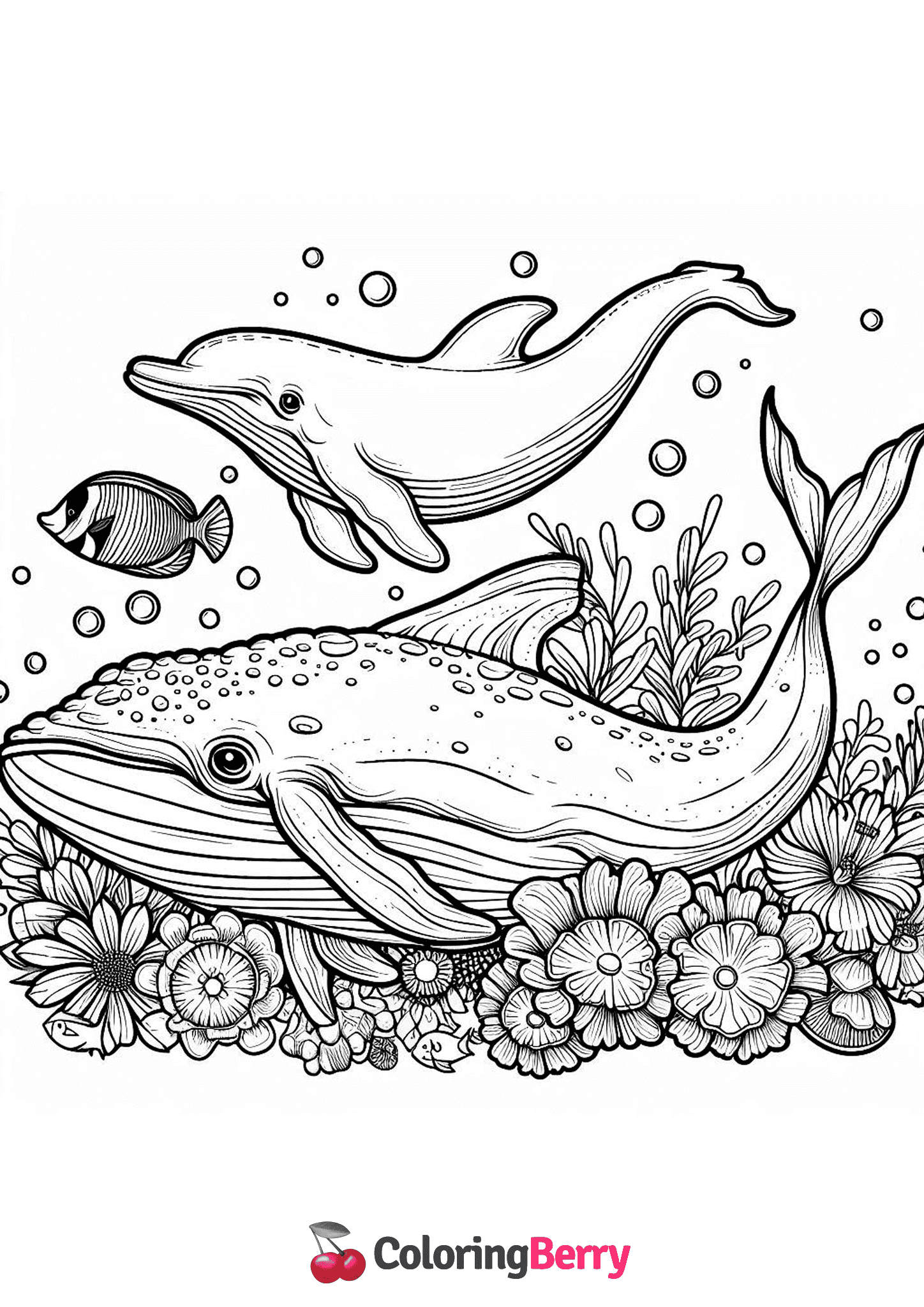 Whale and Dolphin