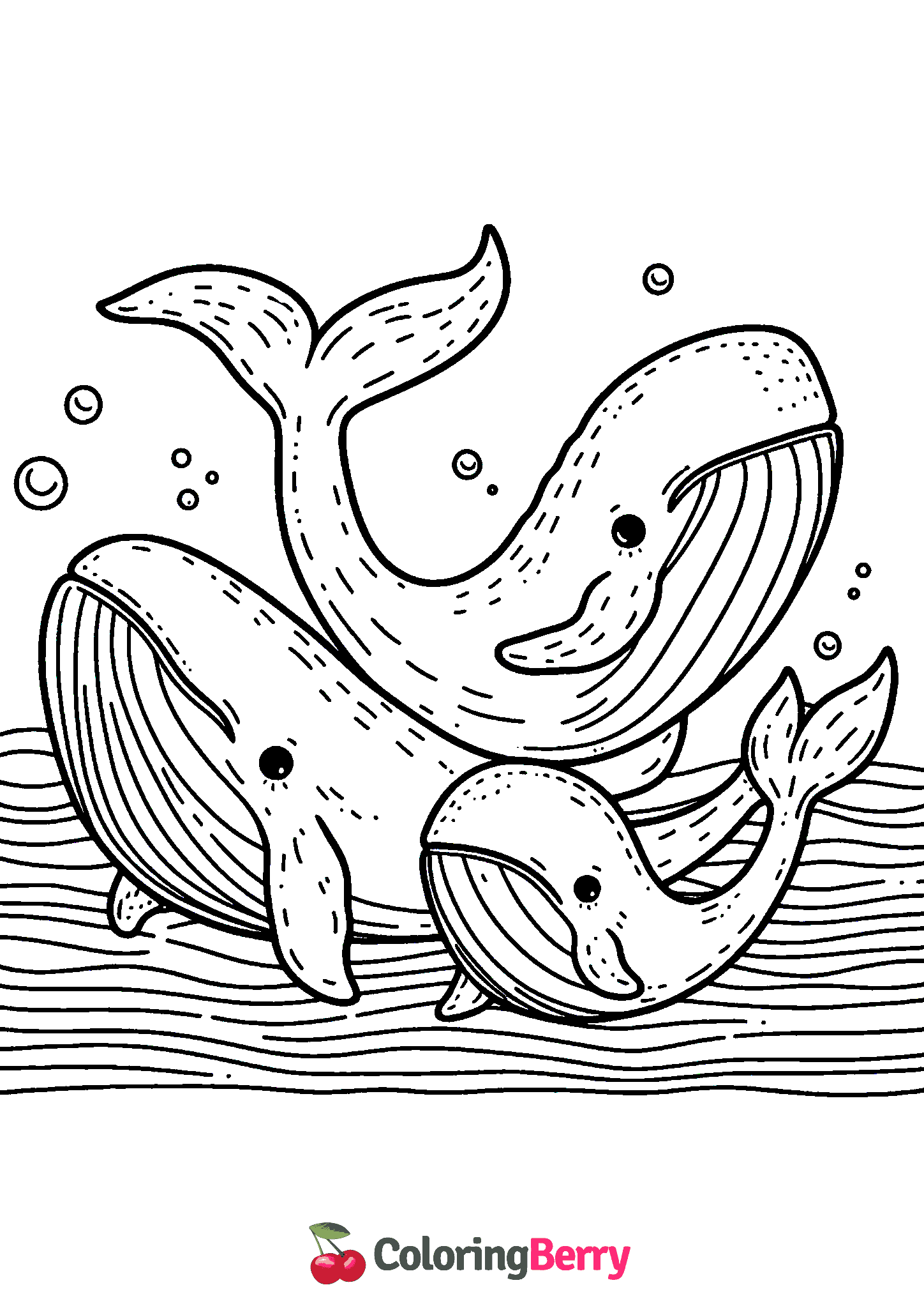 Whale Family